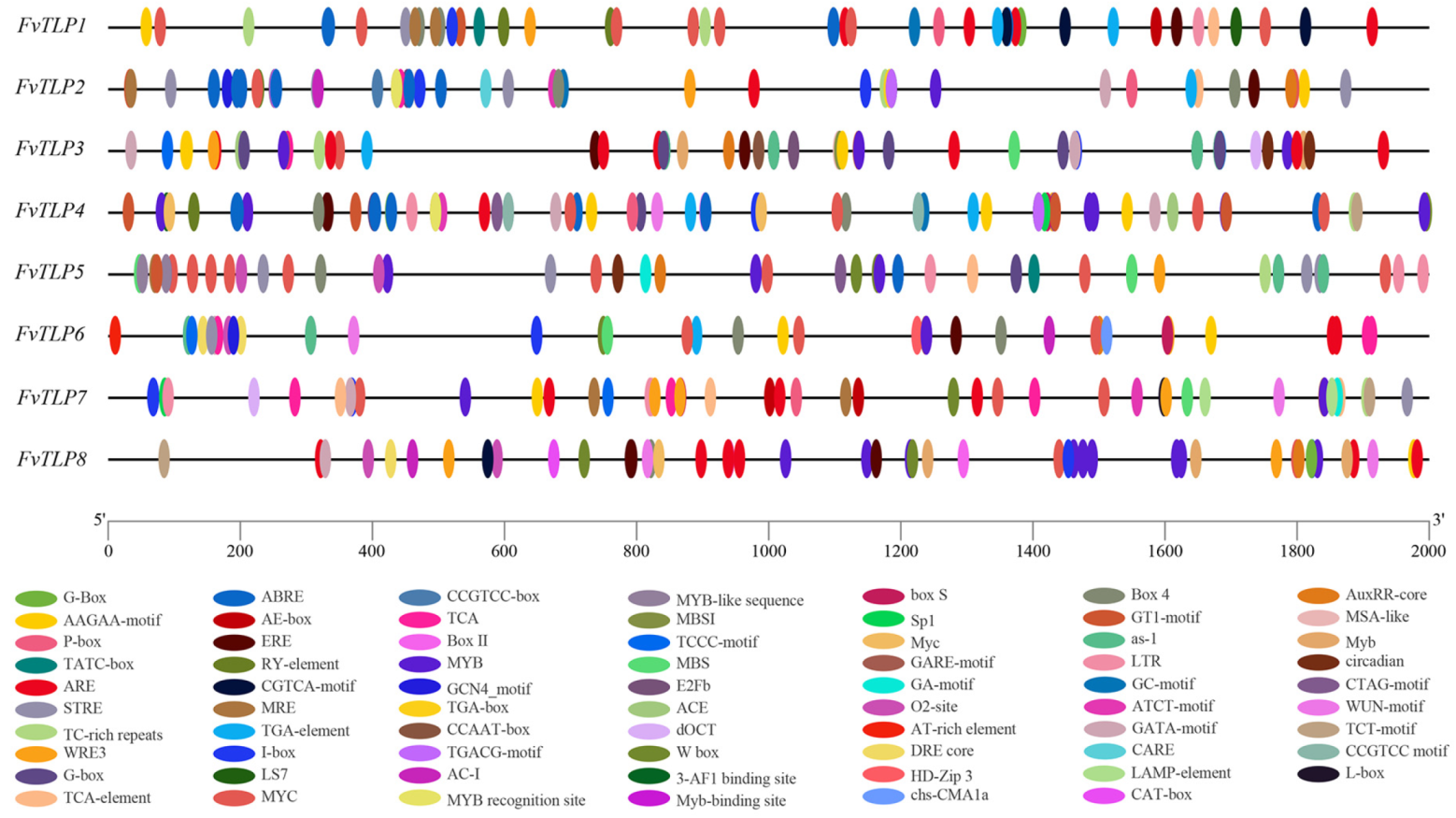 Ijms 23 11961 g003 Ijms 23 11961 g003