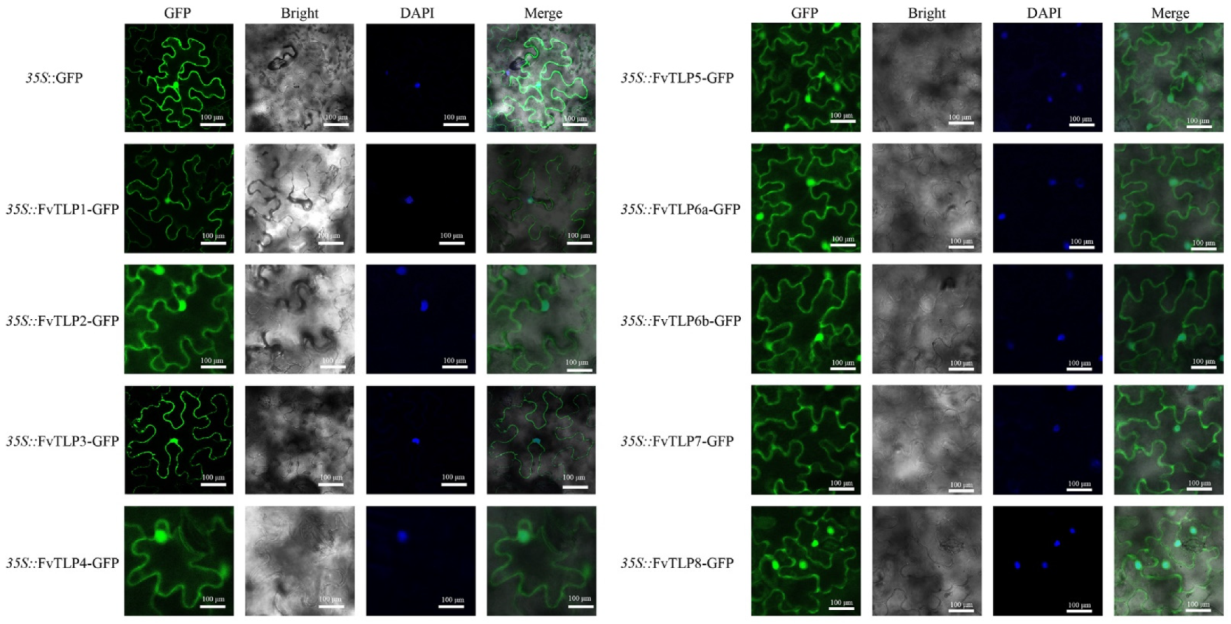 Ijms 23 11961 g004 Ijms 23 11961 g004