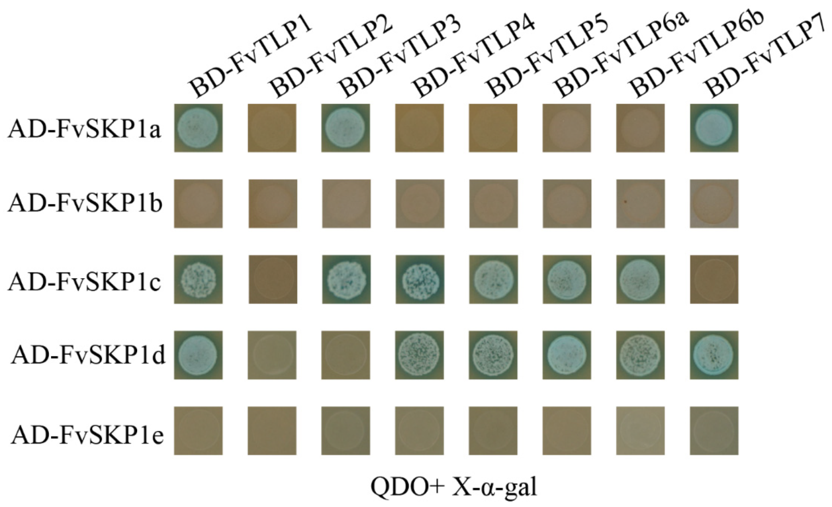 Ijms 23 11961 g006 Ijms 23 11961 g006