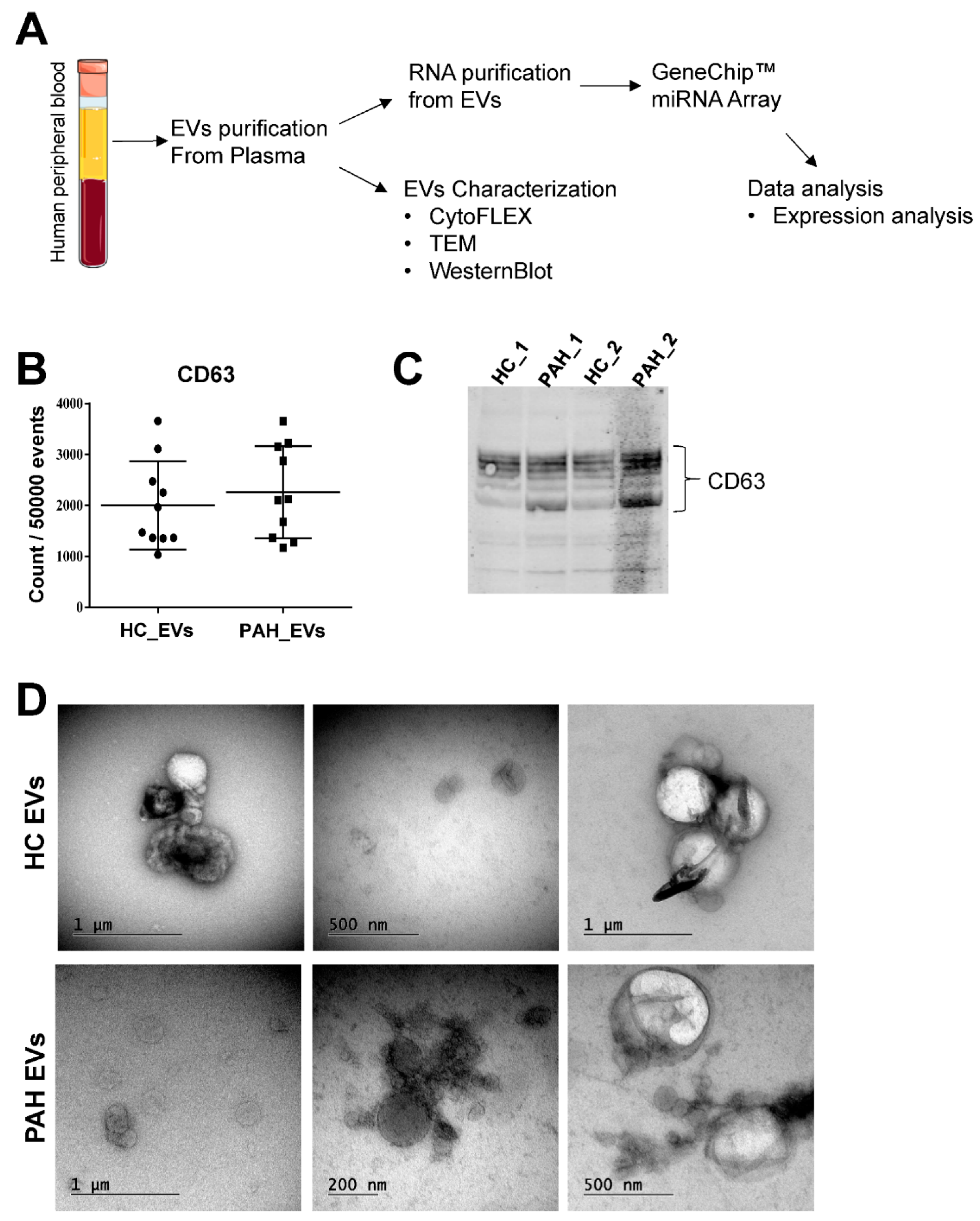 Ijms 23 11964 g001 Ijms 23 11964 g001