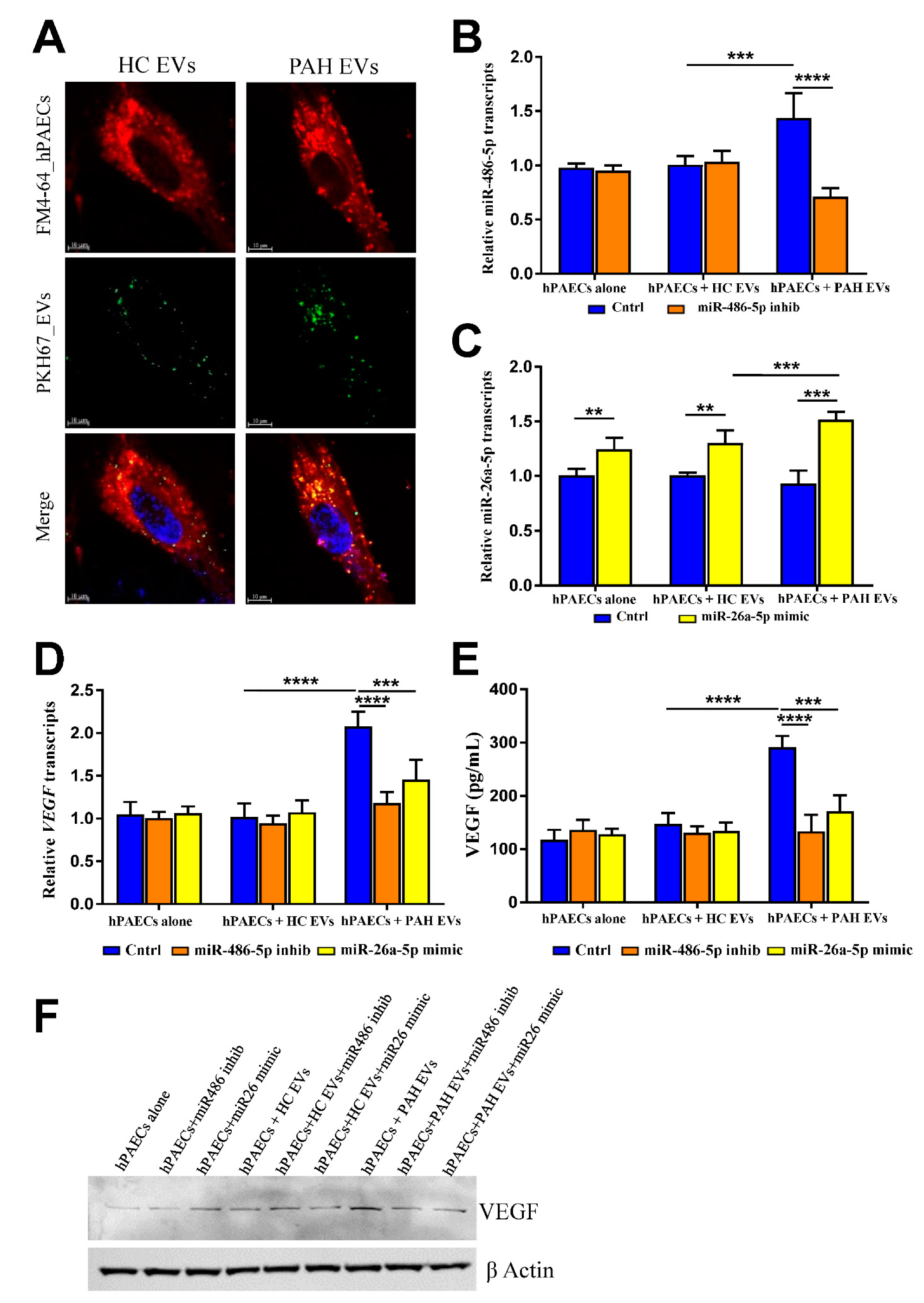 Ijms 23 11964 g003 Ijms 23 11964 g003