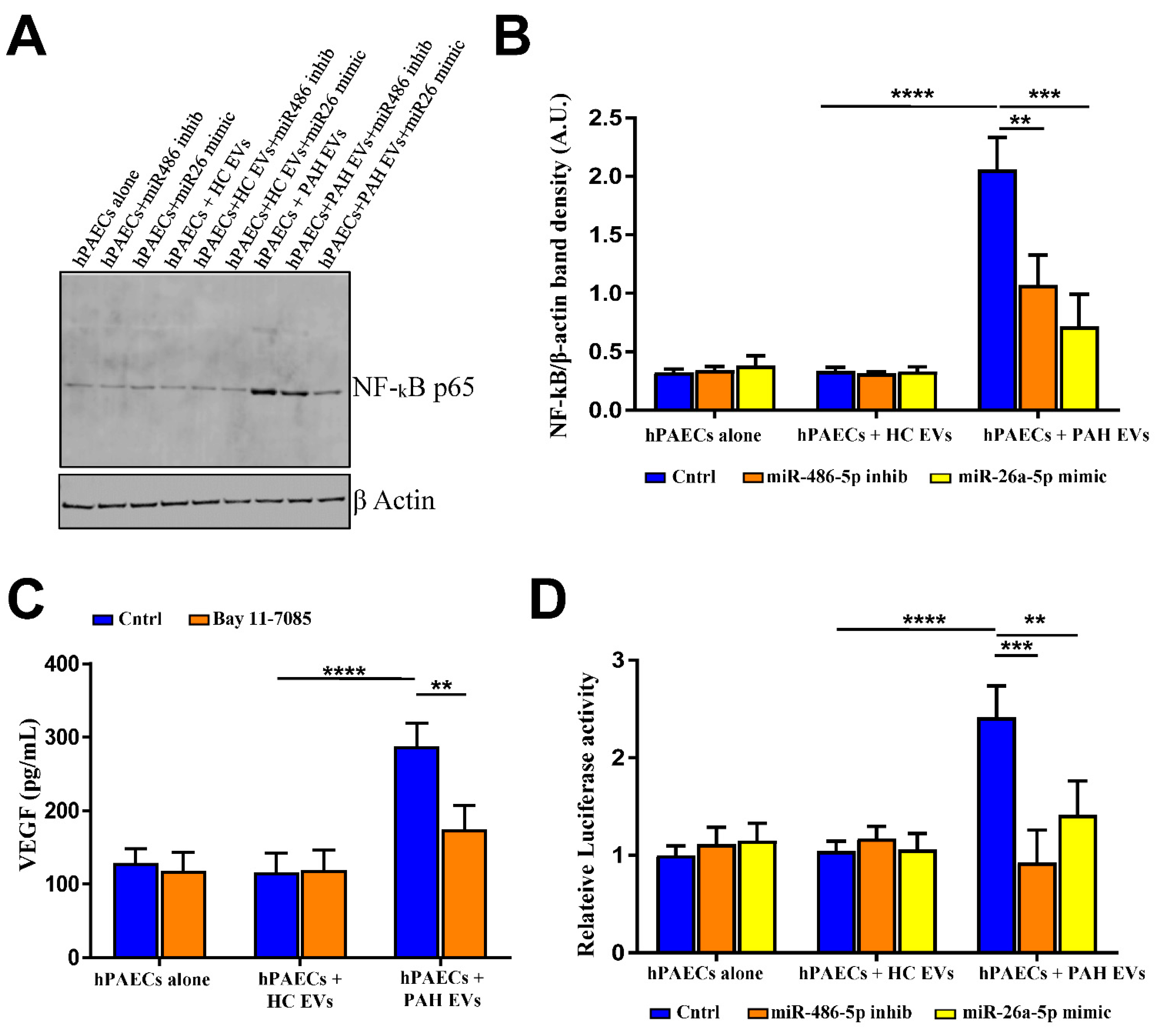 Ijms 23 11964 g005 Ijms 23 11964 g005