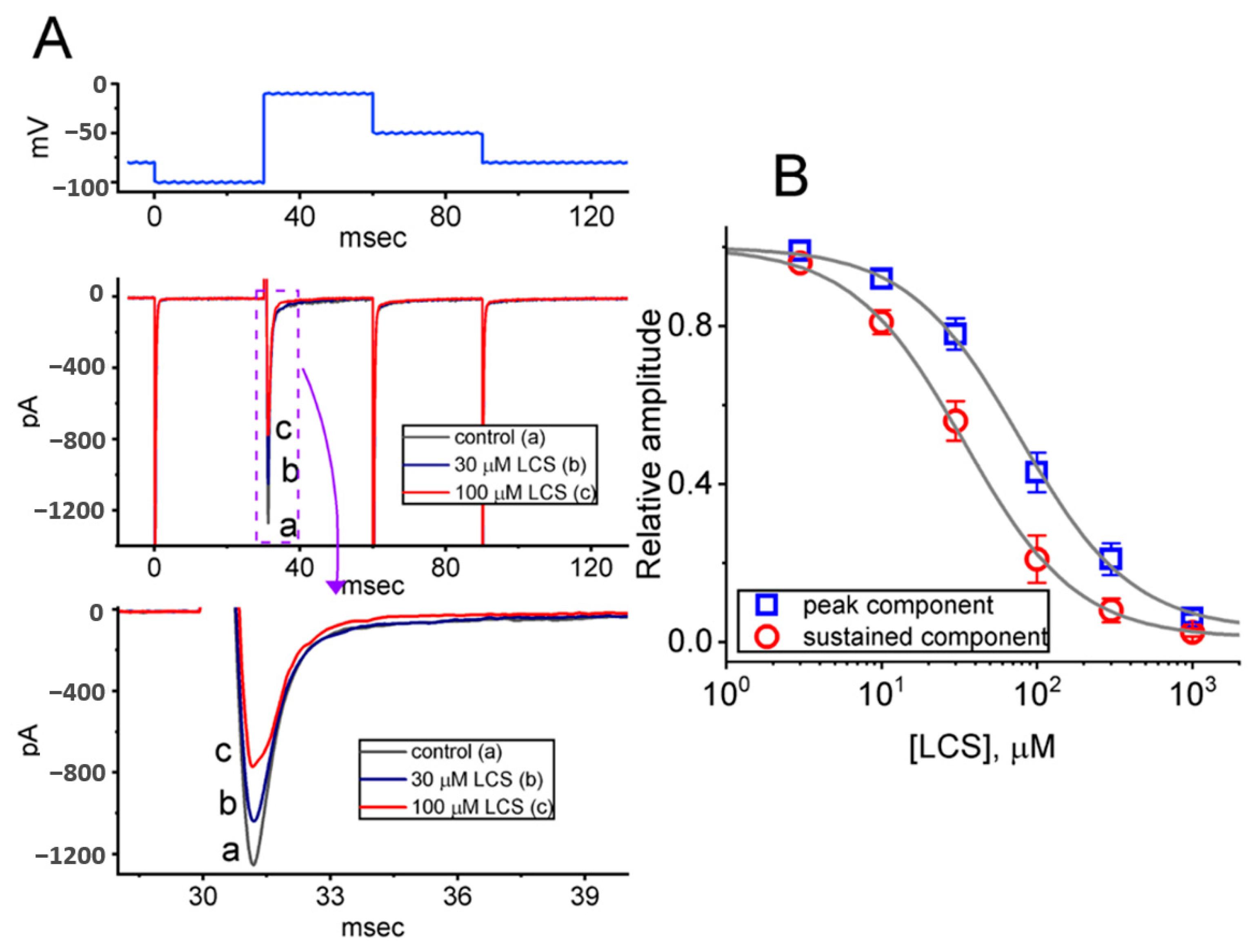 Ijms 23 11966 g001 Ijms 23 11966 g001