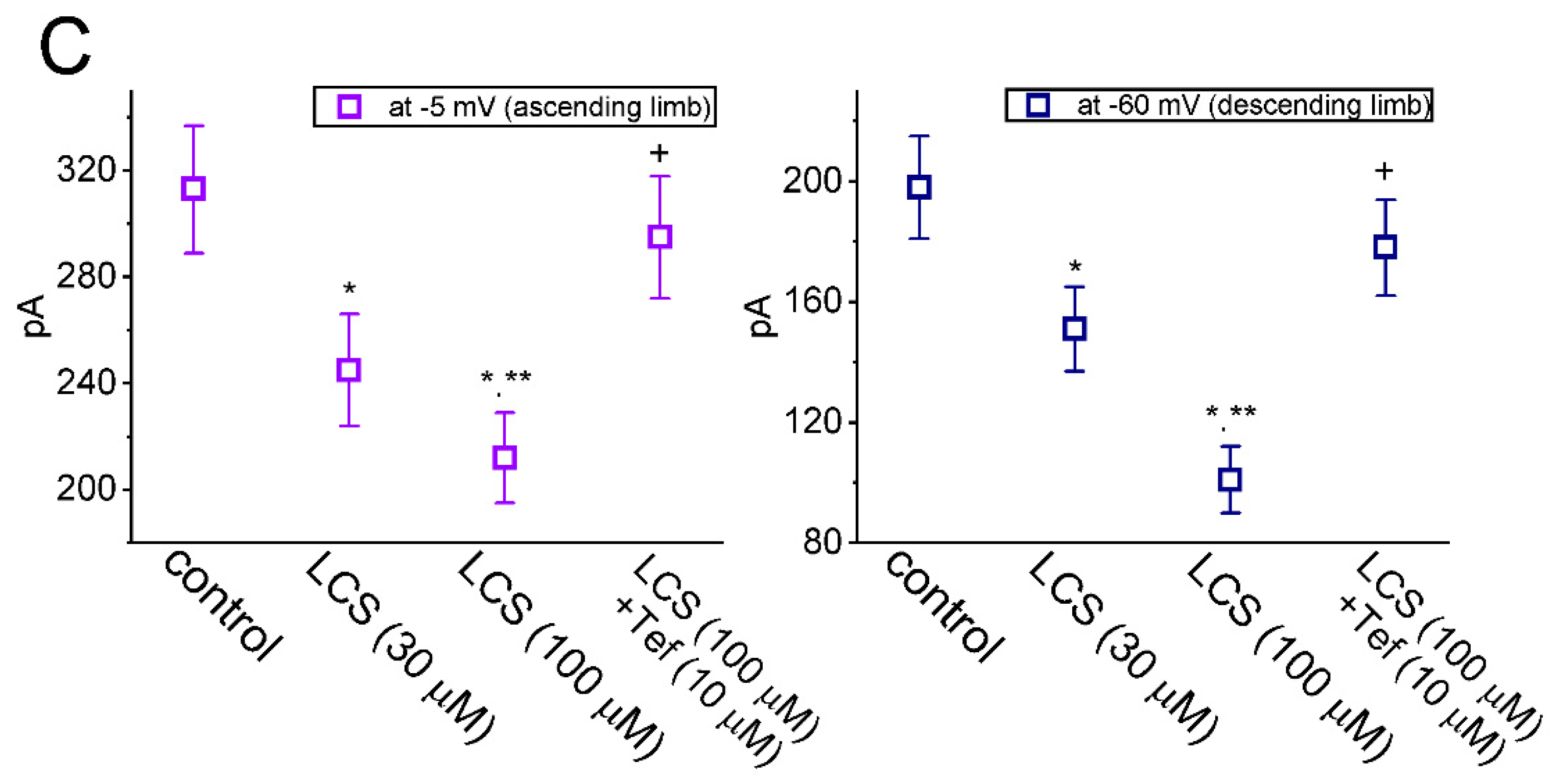 Ijms 23 11966 g003b Ijms 23 11966 g003b