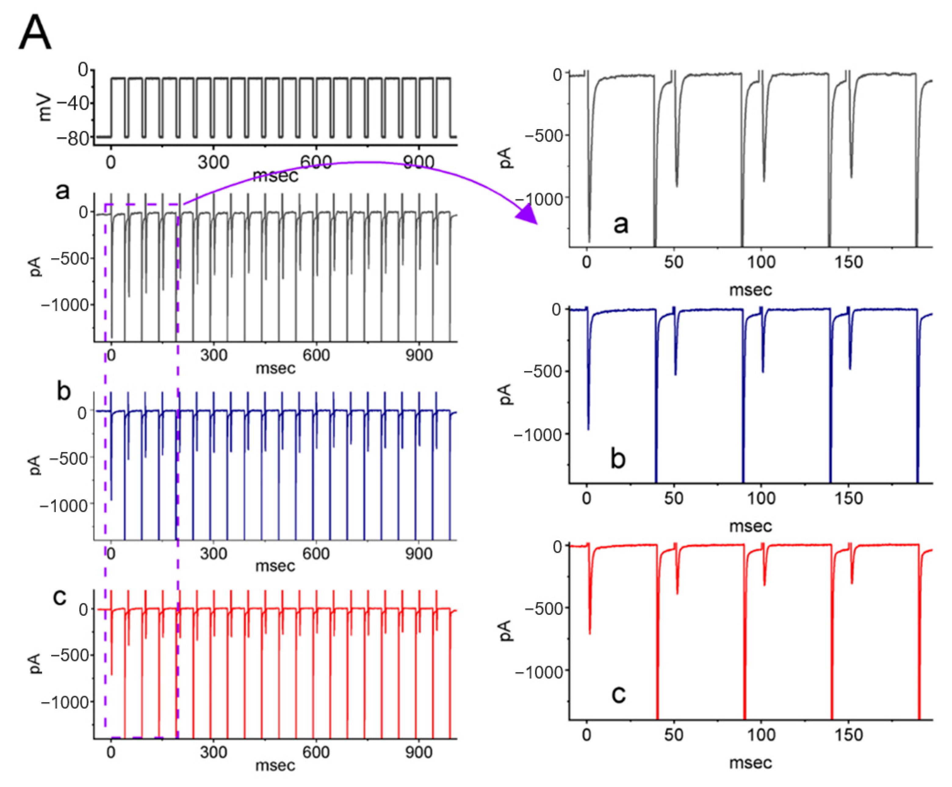 Ijms 23 11966 g005a Ijms 23 11966 g005a
