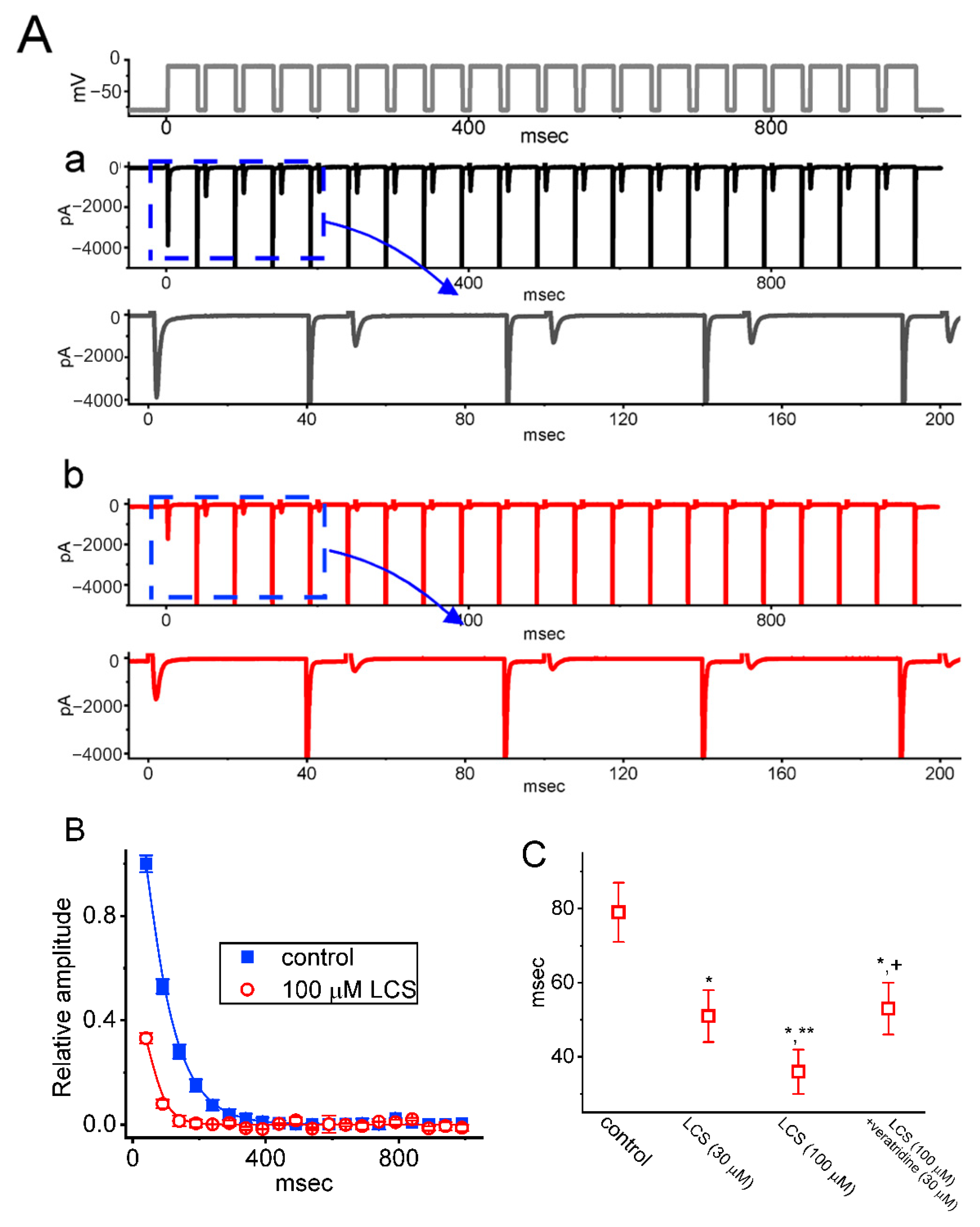Ijms 23 11966 g006 Ijms 23 11966 g006