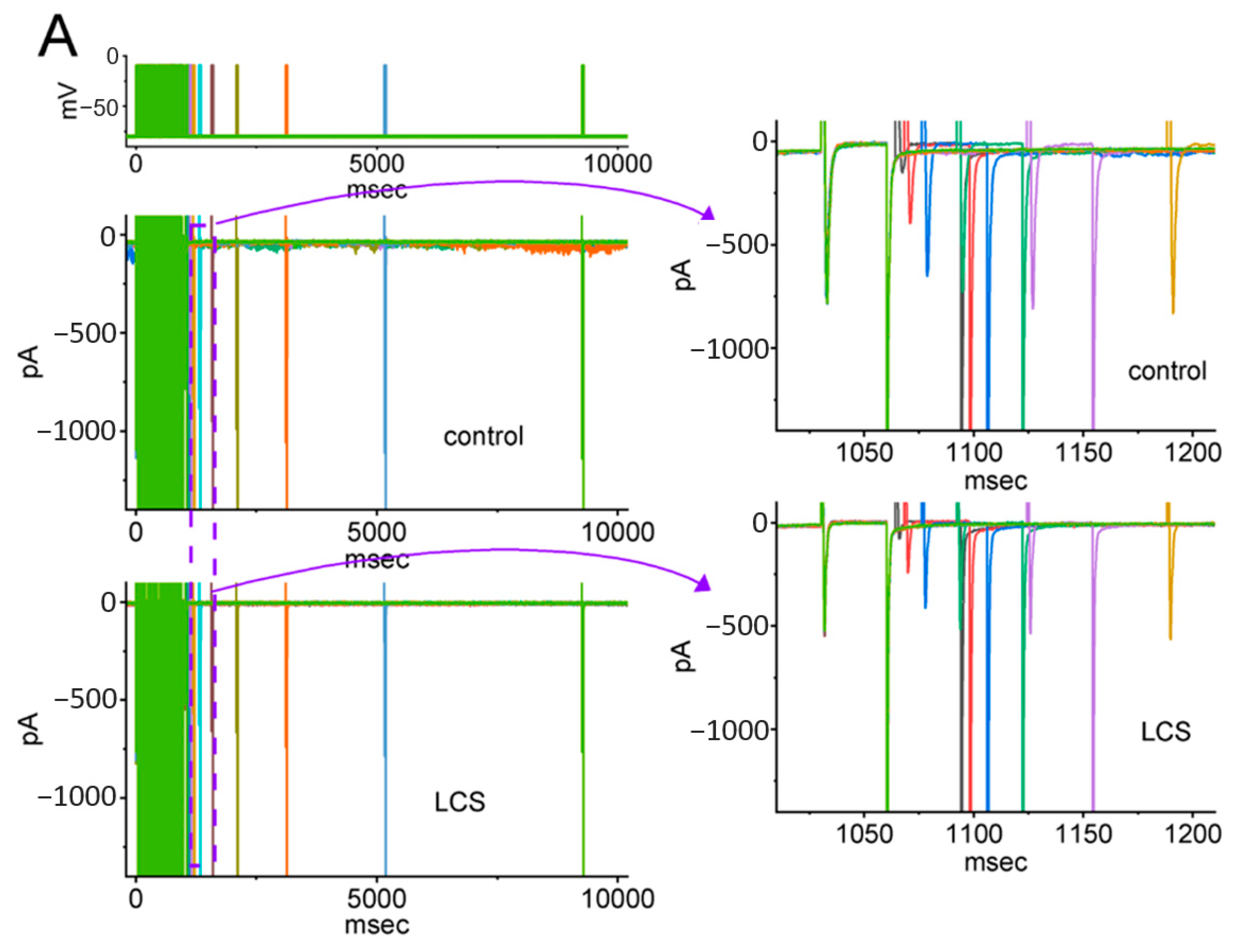 Ijms 23 11966 g007a Ijms 23 11966 g007a