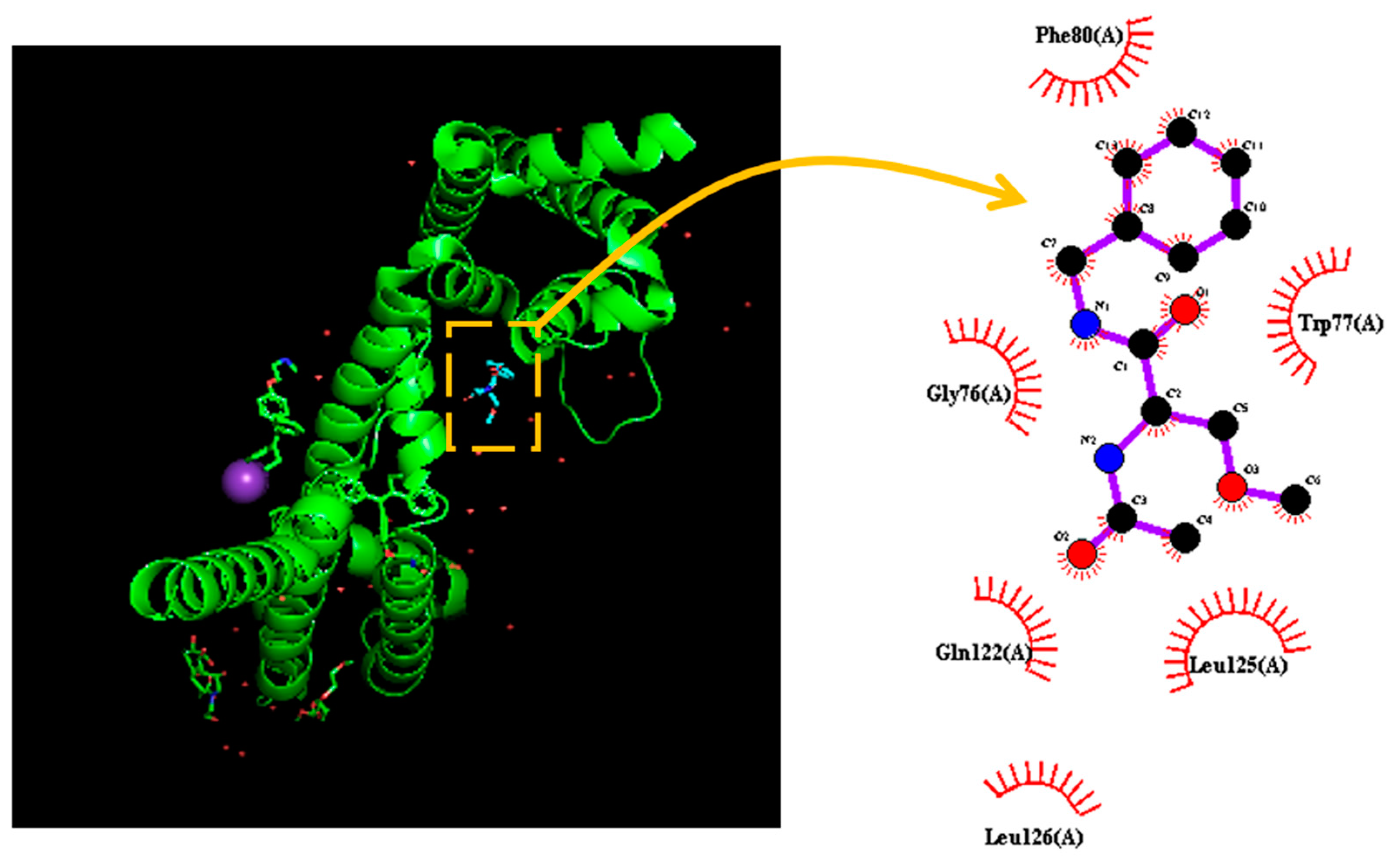 Ijms 23 11966 g008 Ijms 23 11966 g008