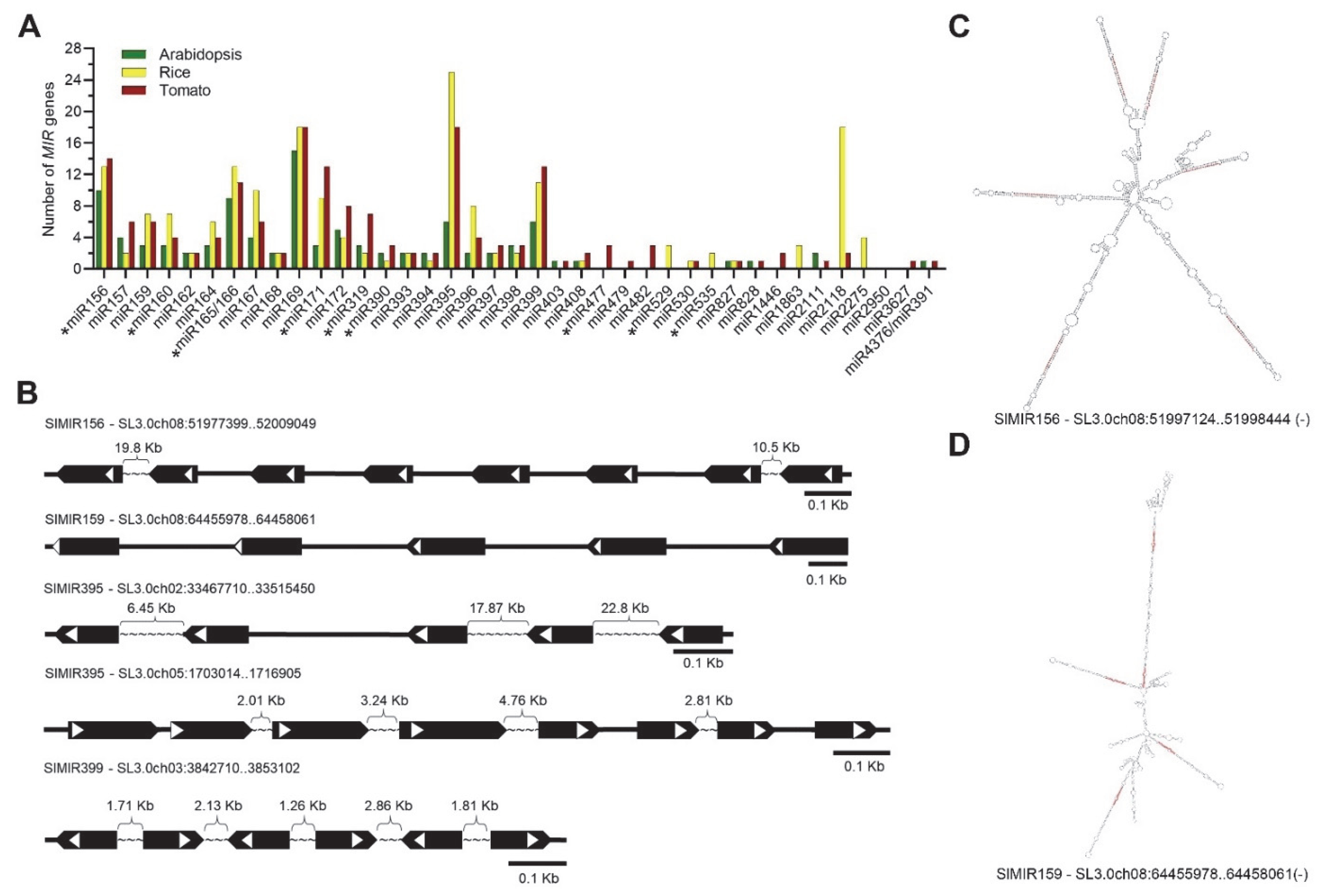 Ijms 23 11979 g001 Ijms 23 11979 g001