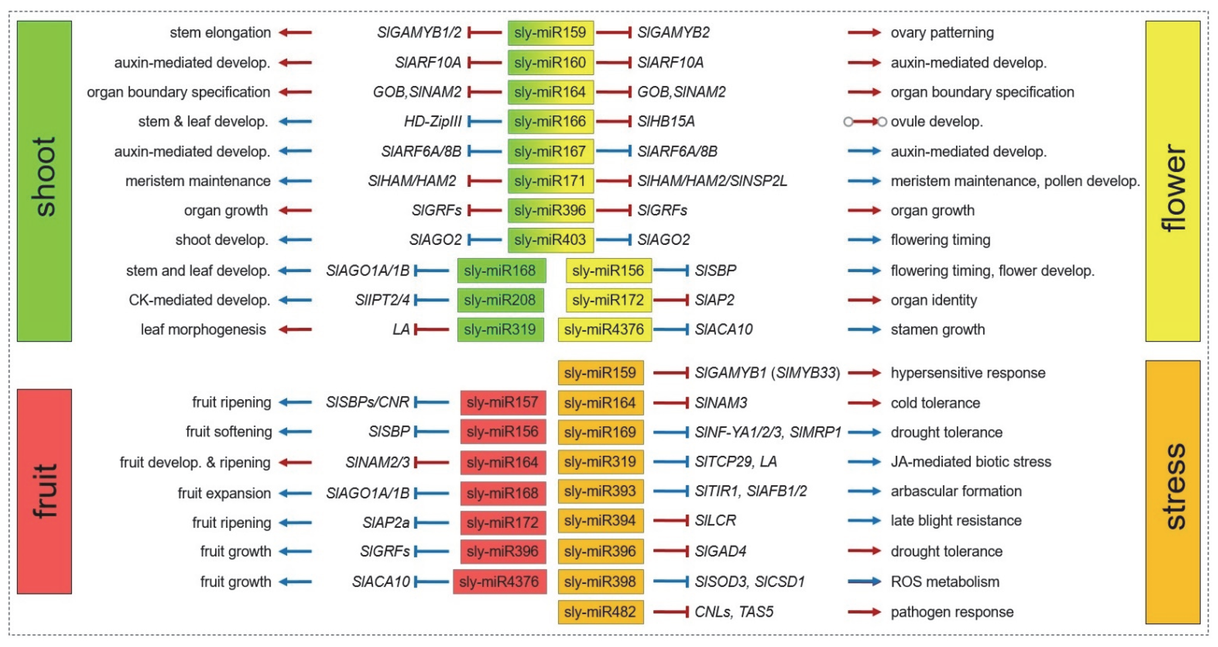 Ijms 23 11979 g002 Ijms 23 11979 g002