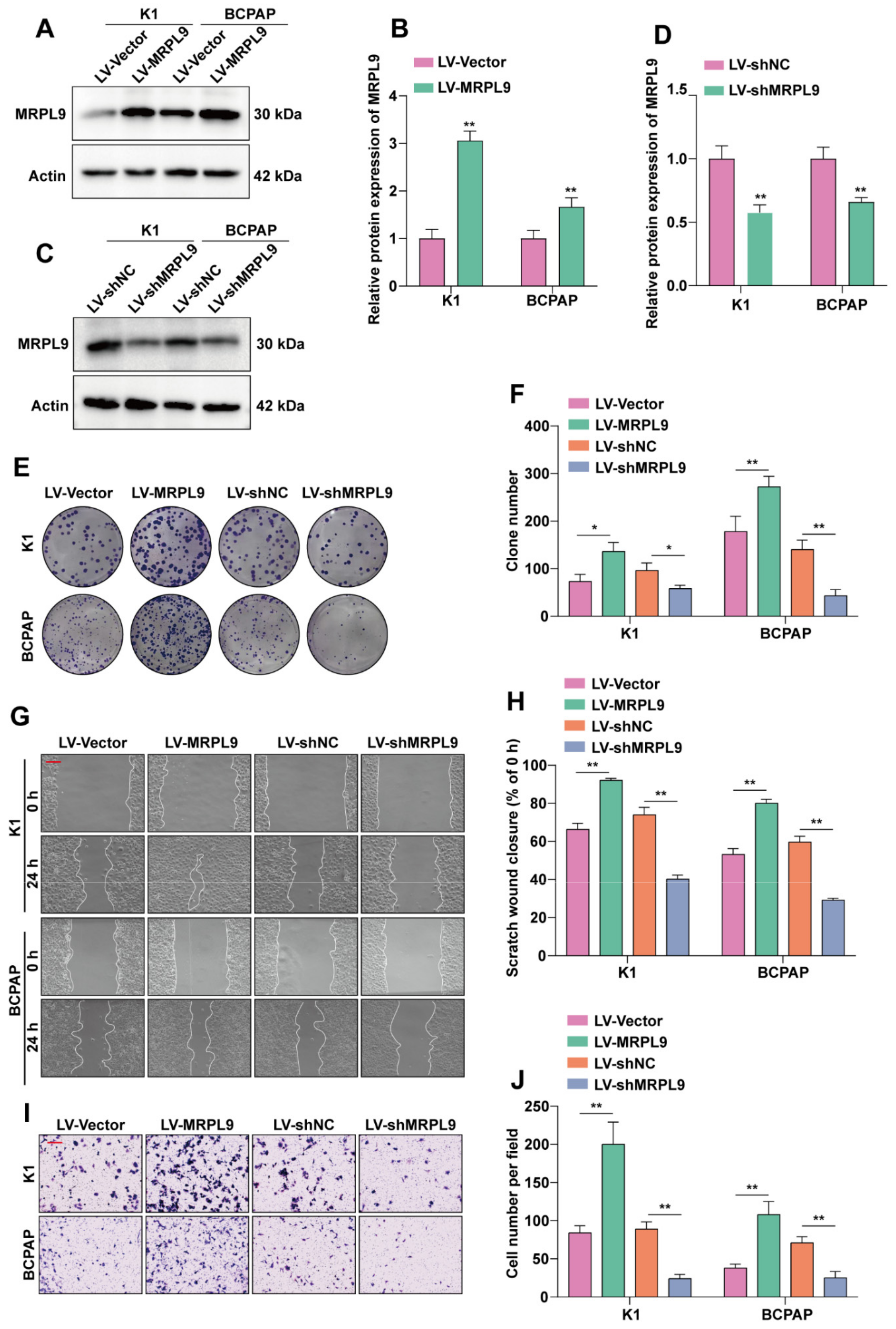 Ijms 23 11989 g002 Ijms 23 11989 g002