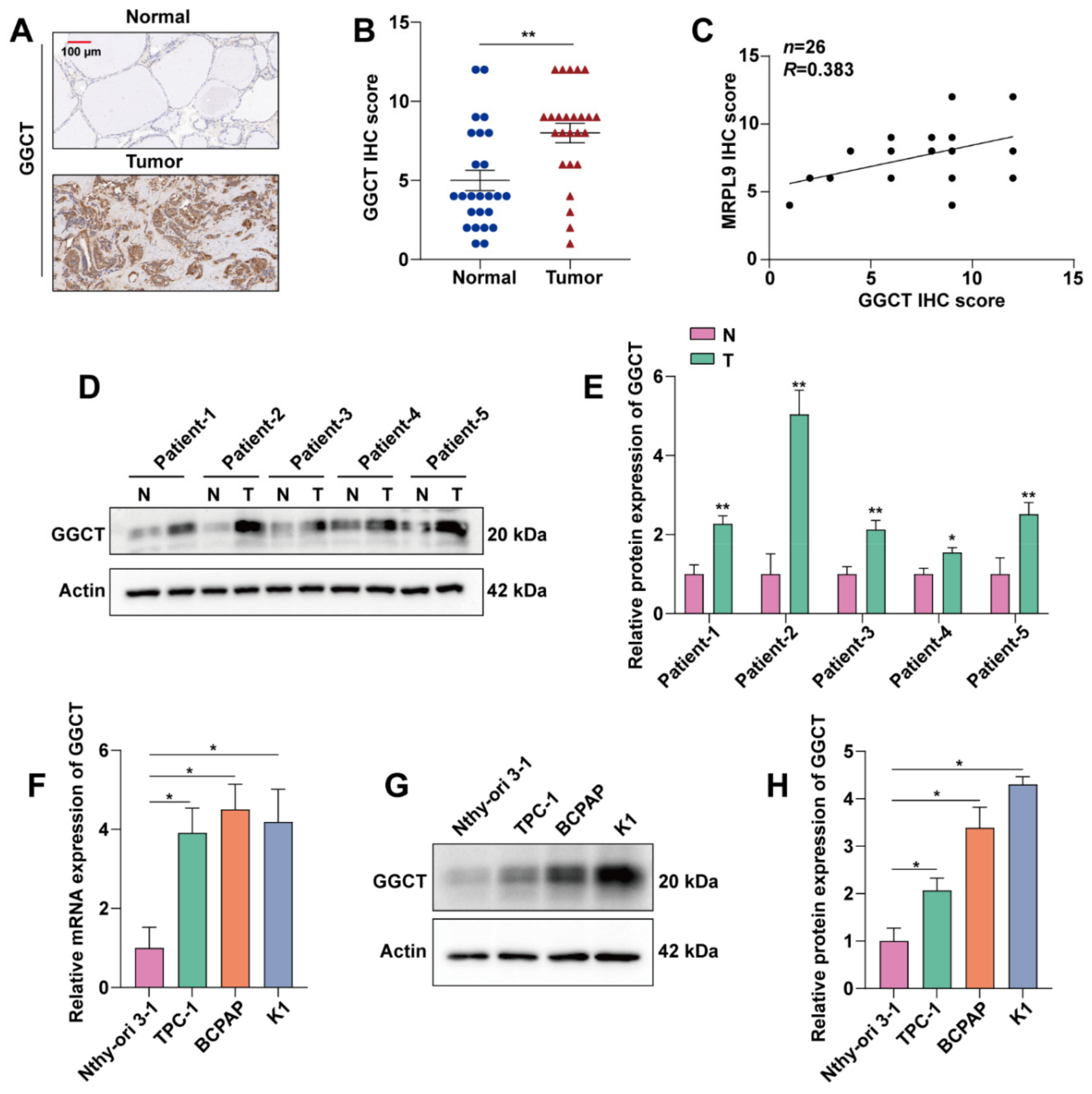 Ijms 23 11989 g004 Ijms 23 11989 g004
