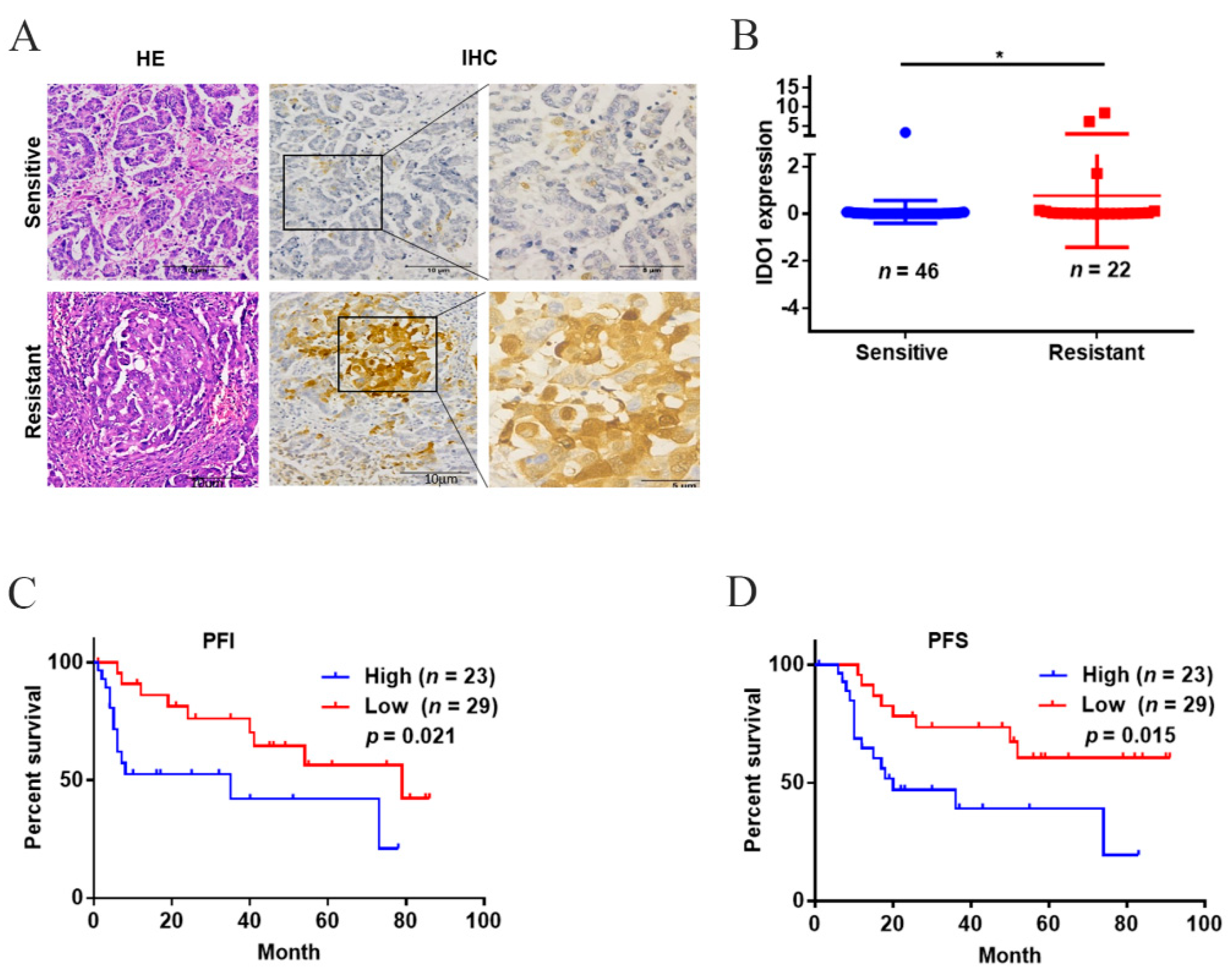 Ijms 23 12002 g001 Ijms 23 12002 g001