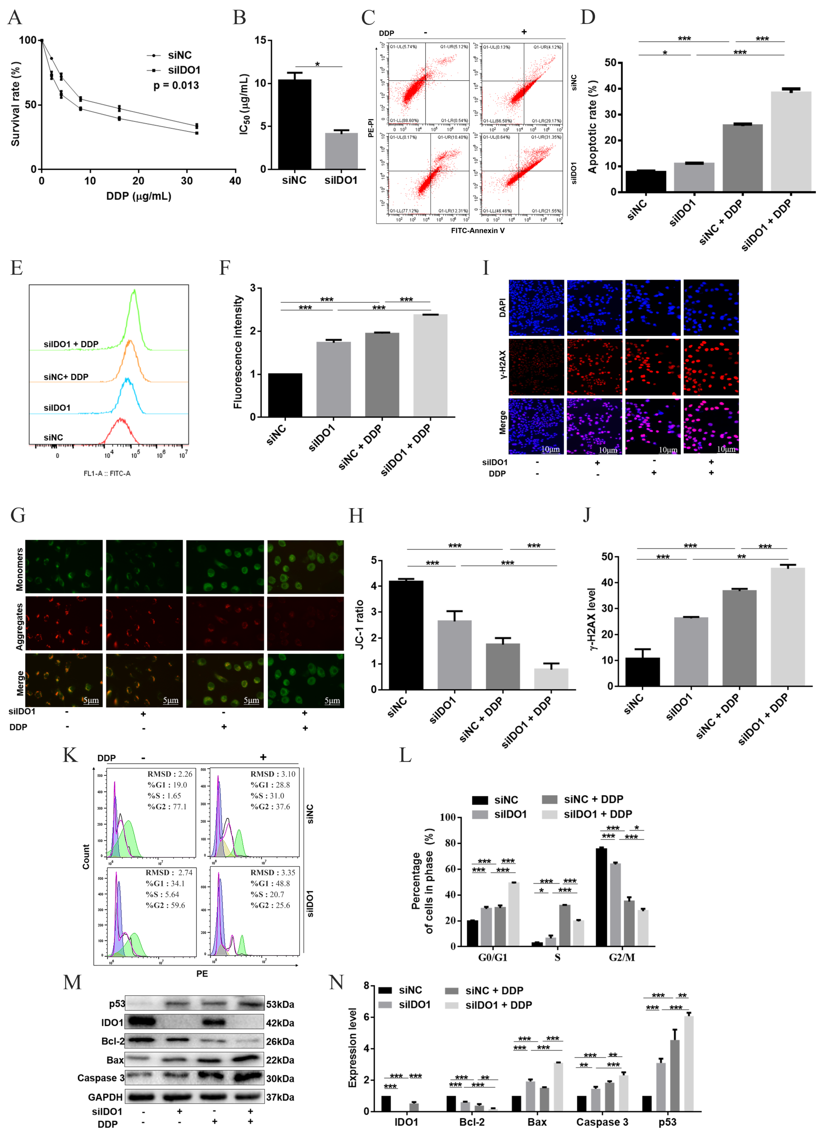 Ijms 23 12002 g003 Ijms 23 12002 g003