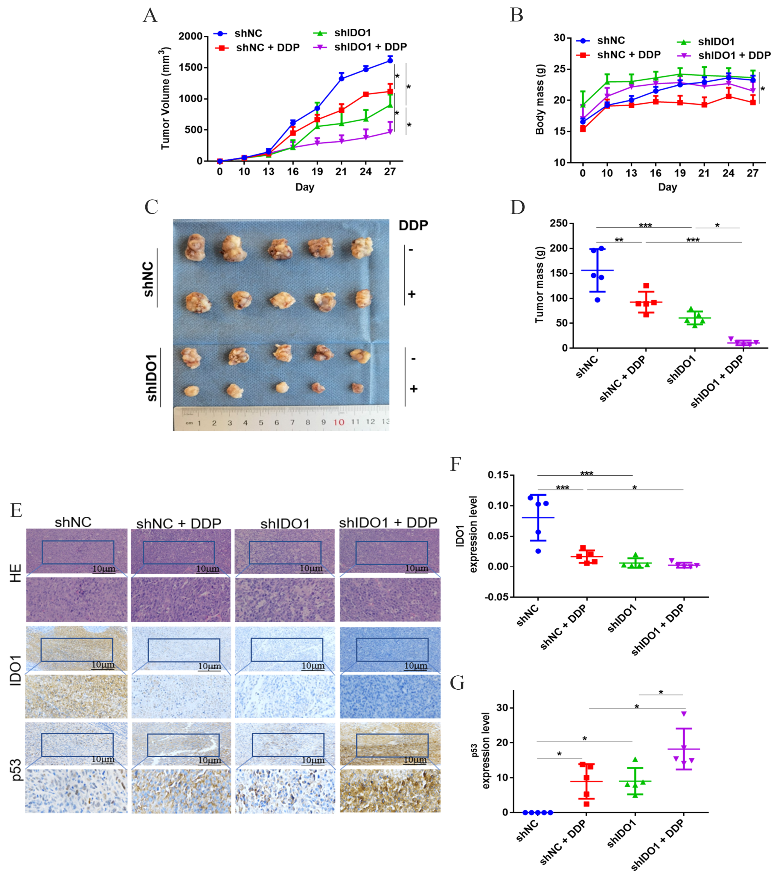 Ijms 23 12002 g004 Ijms 23 12002 g004