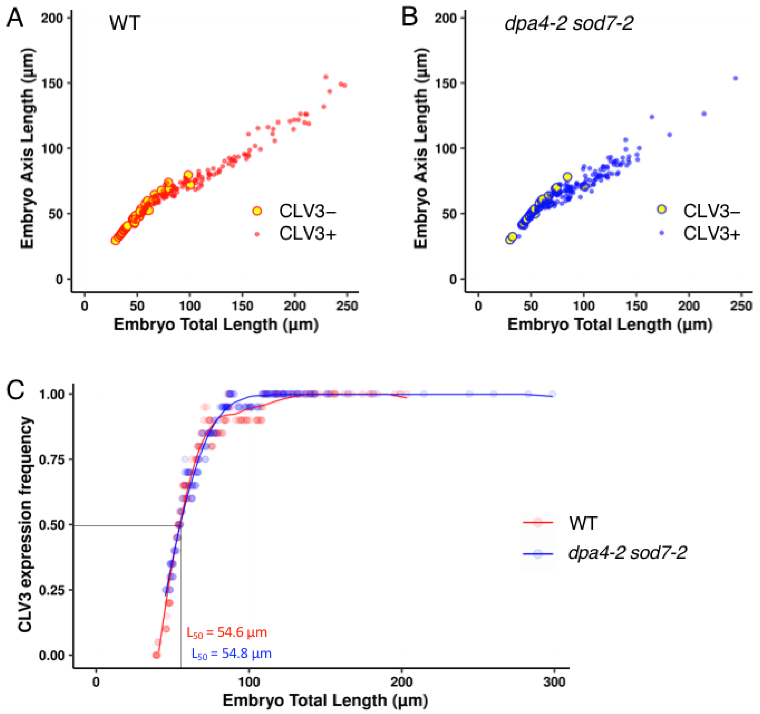 Ijms 23 12007 g002 Ijms 23 12007 g002
