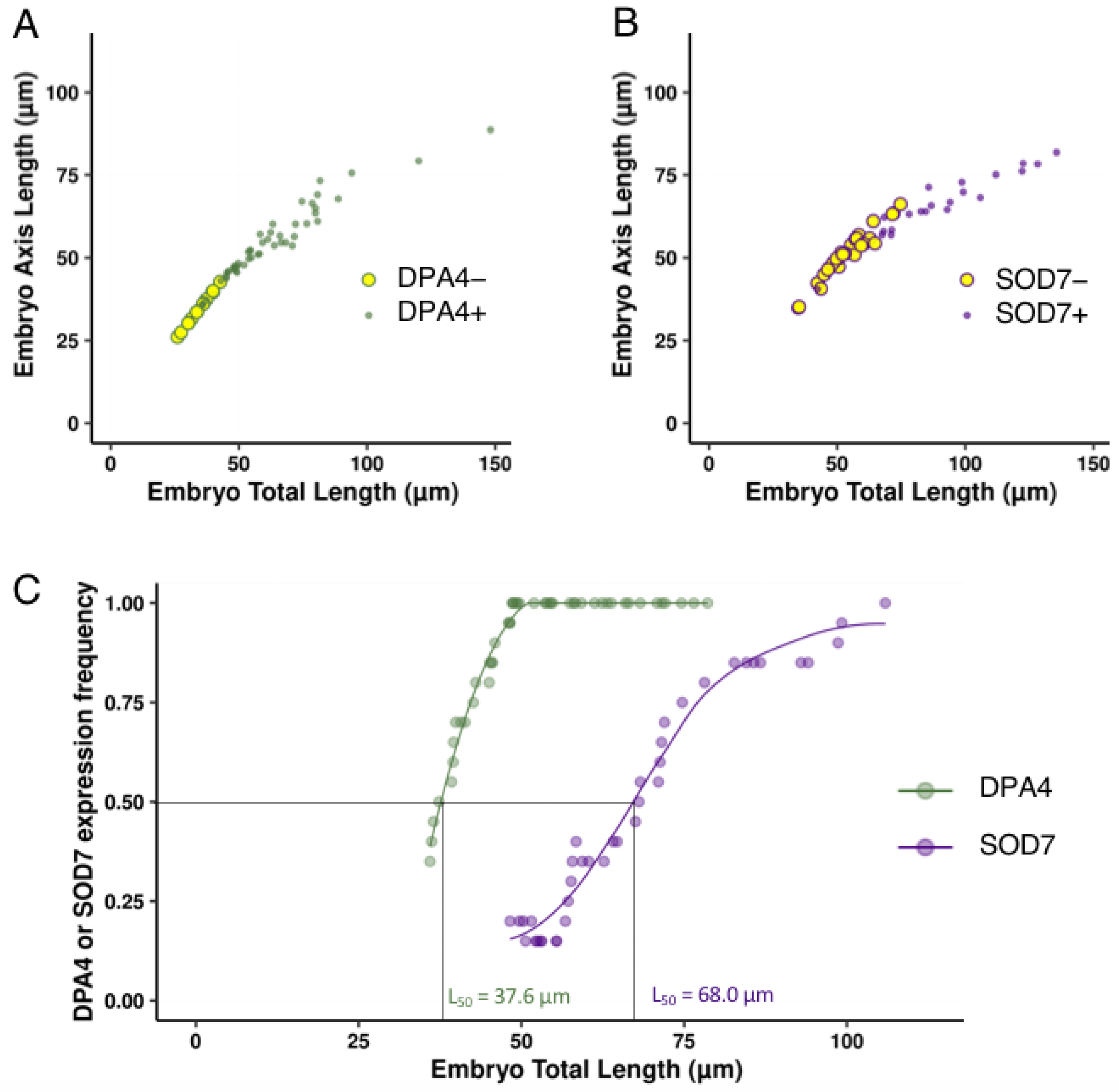 Ijms 23 12007 g005 Ijms 23 12007 g005