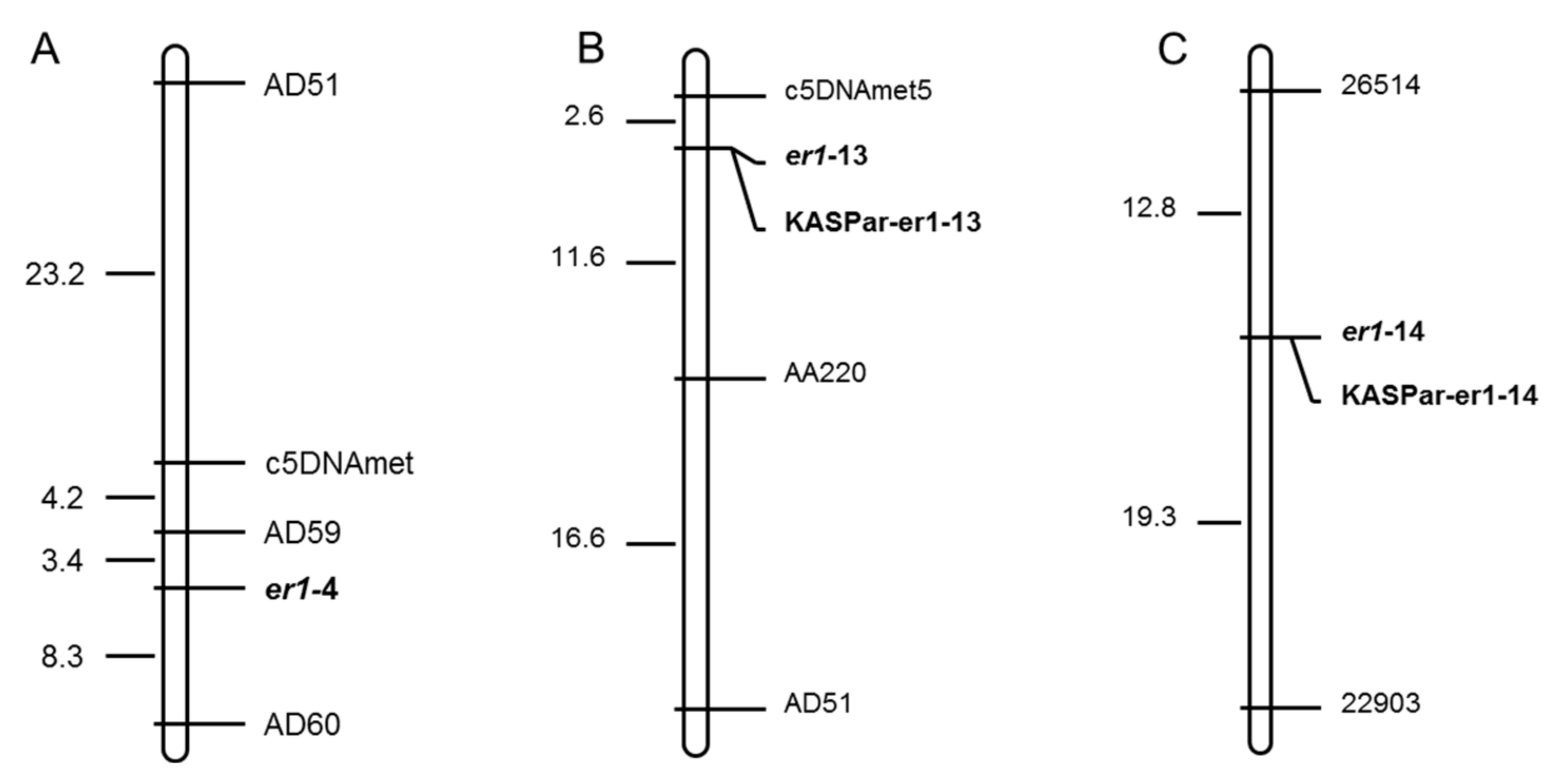 Ijms 23 12016 g002 Ijms 23 12016 g002