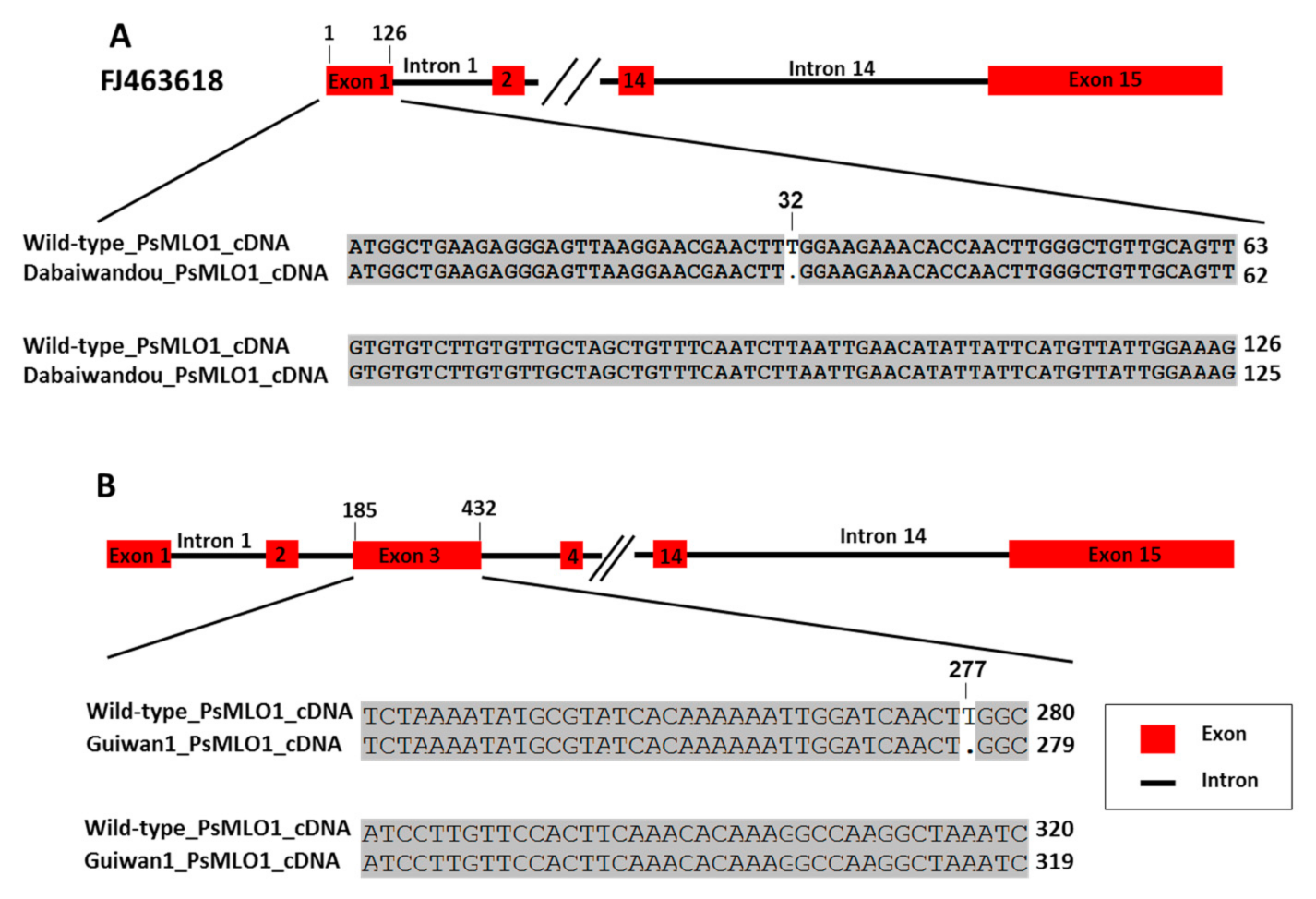 Ijms 23 12016 g003 Ijms 23 12016 g003