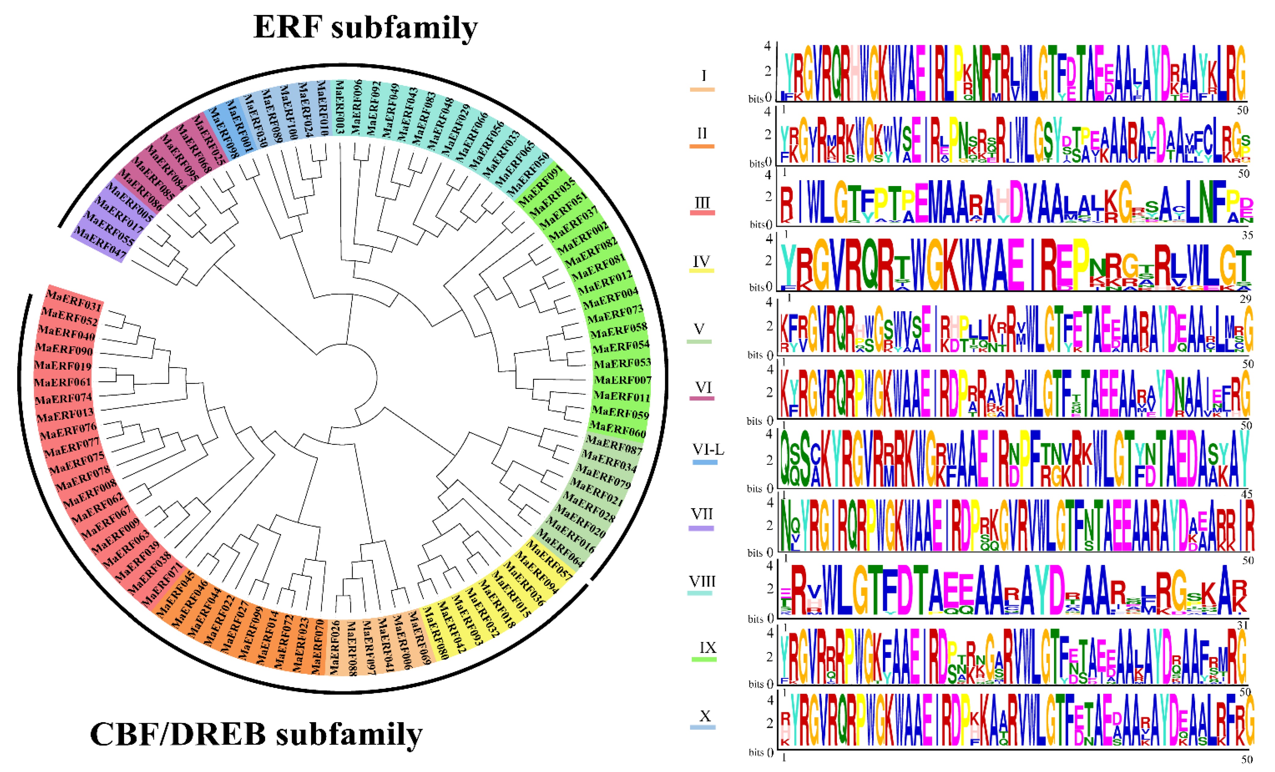 Ijms 23 12023 g002 Ijms 23 12023 g002
