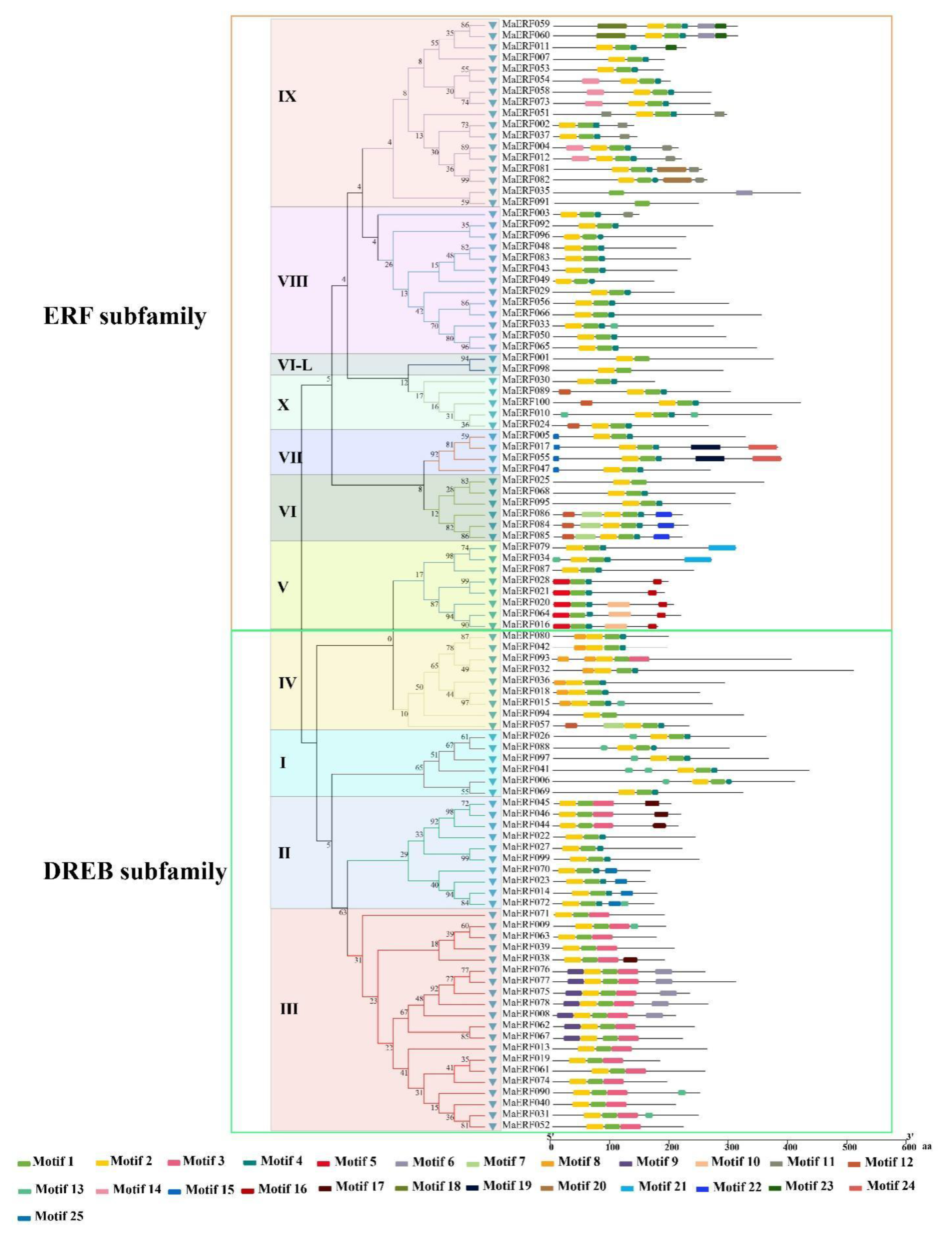 Ijms 23 12023 g003 Ijms 23 12023 g003