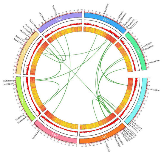 Genome-Wide Identification of ERF Transcription Factor Family and ...