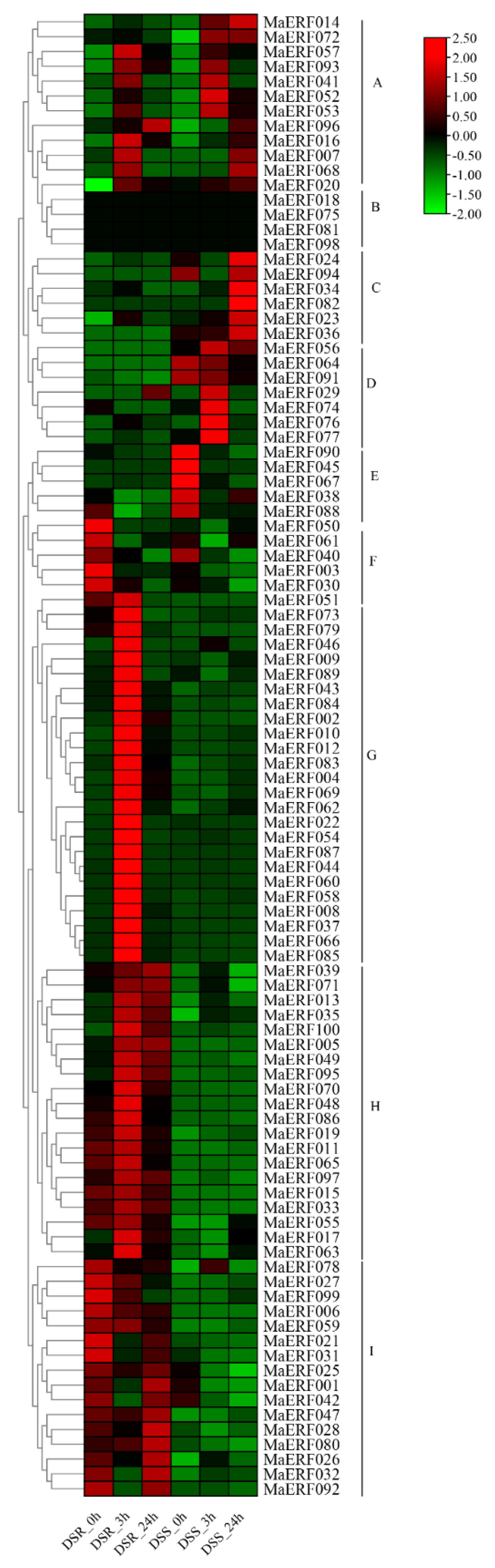 Ijms 23 12023 g006 Ijms 23 12023 g006