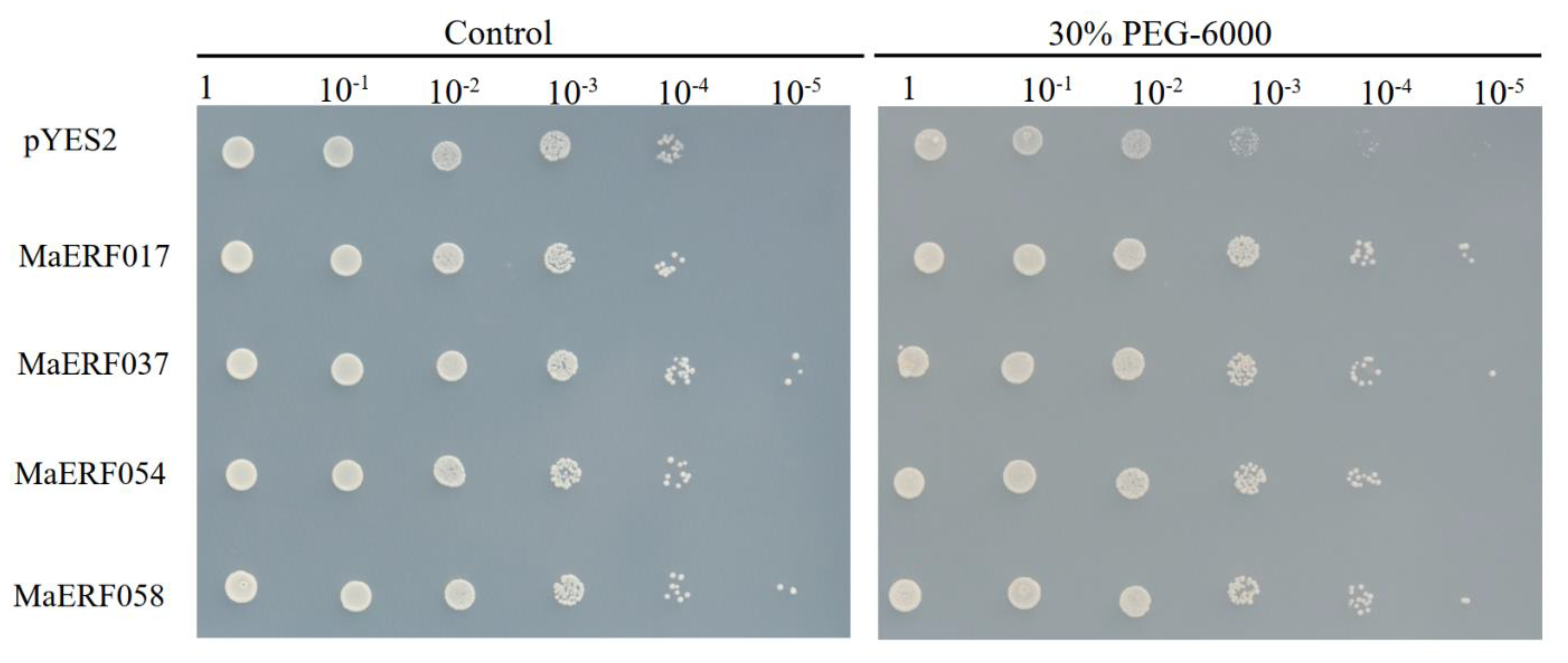 Ijms 23 12023 g009 Ijms 23 12023 g009