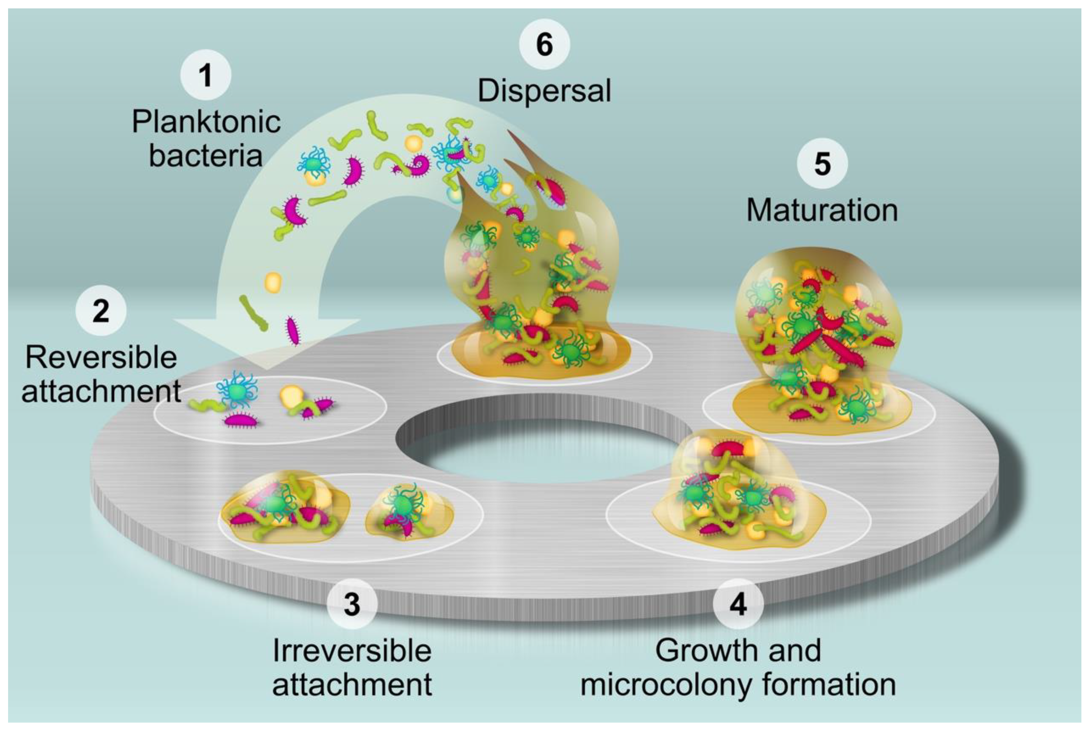 Ijms 23 12027 g001 Ijms 23 12027 g001