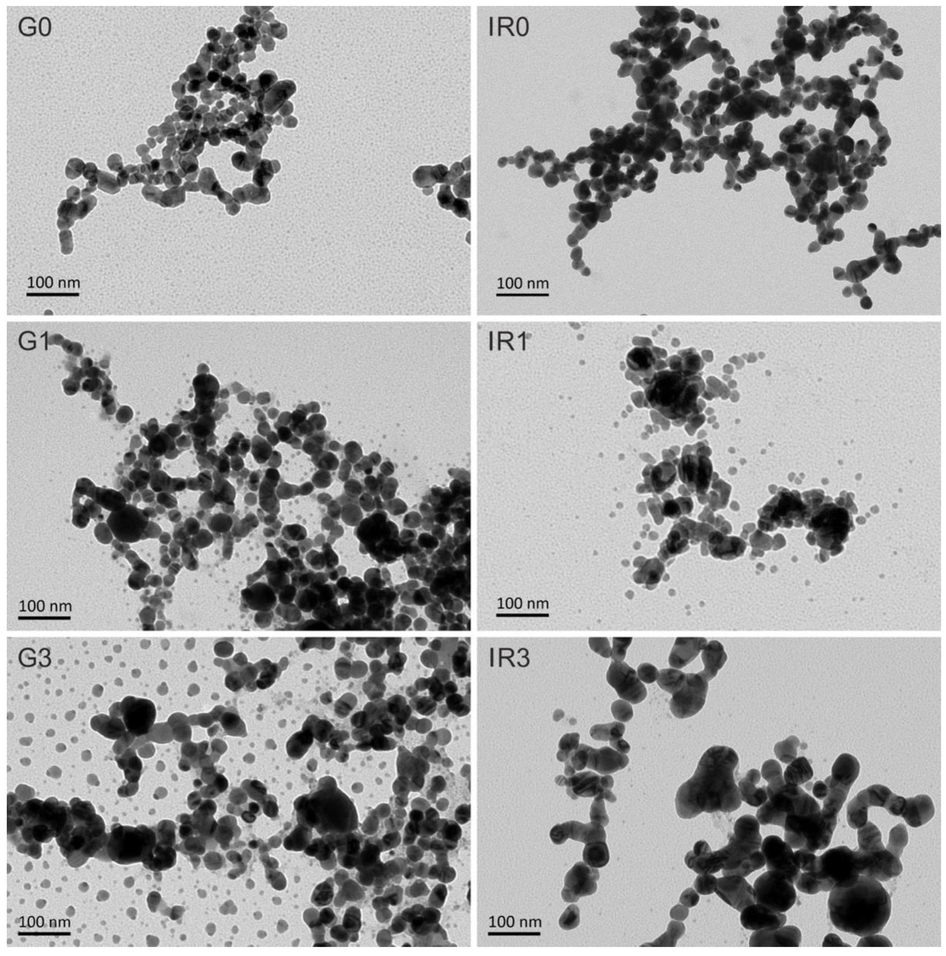 Ijms 23 12027 g002 Ijms 23 12027 g002