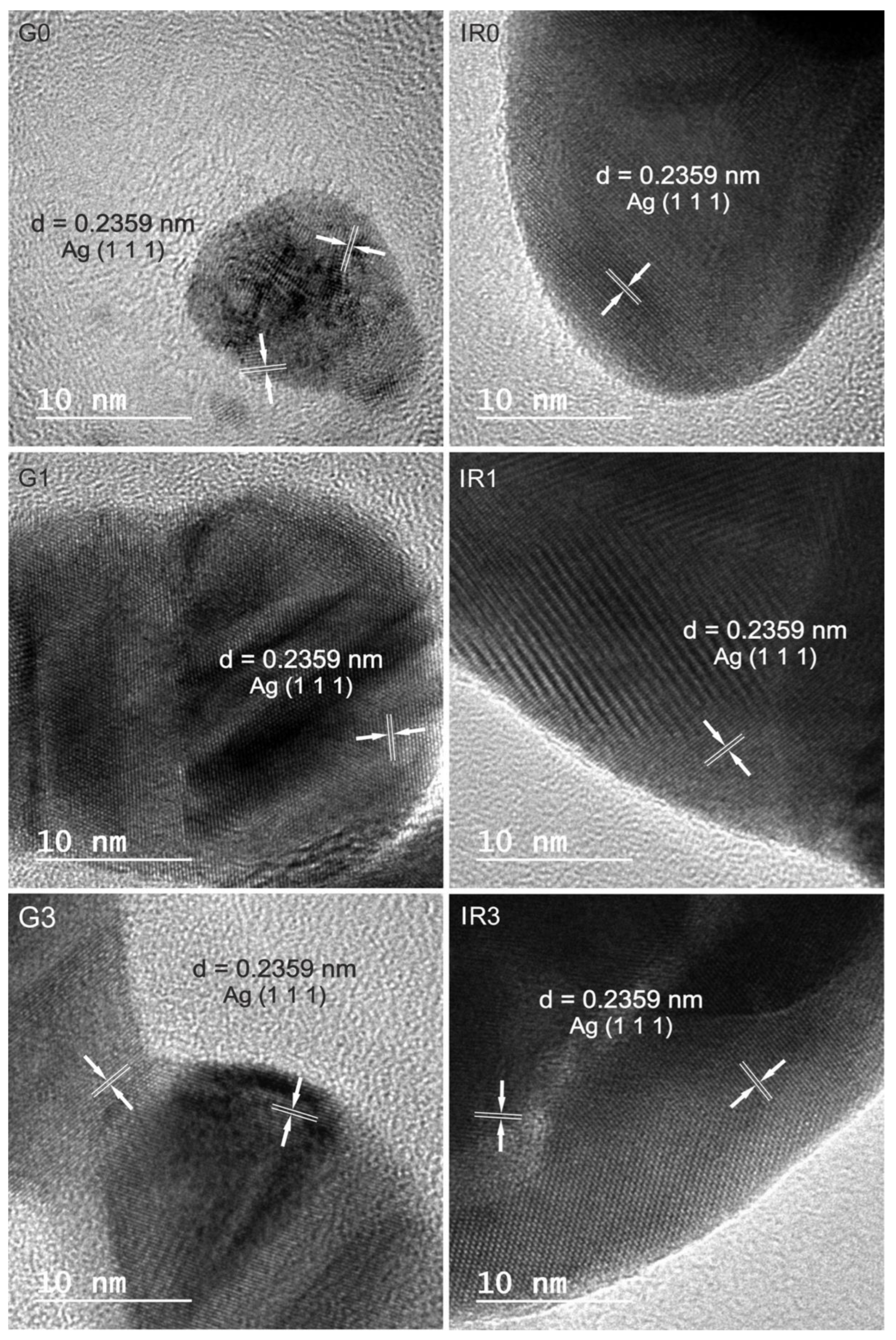 Ijms 23 12027 g004 Ijms 23 12027 g004