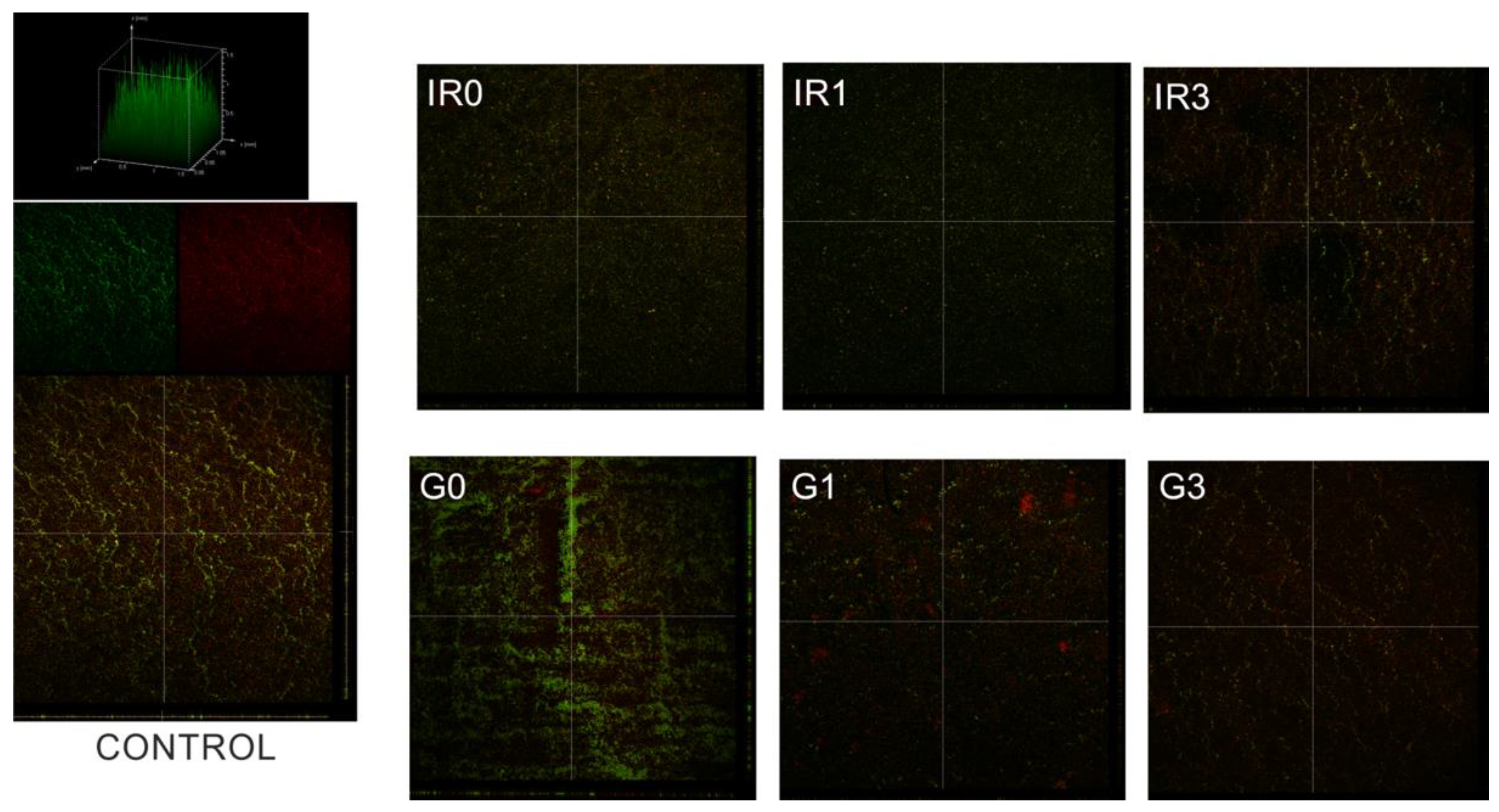 Ijms 23 12027 g012 Ijms 23 12027 g012