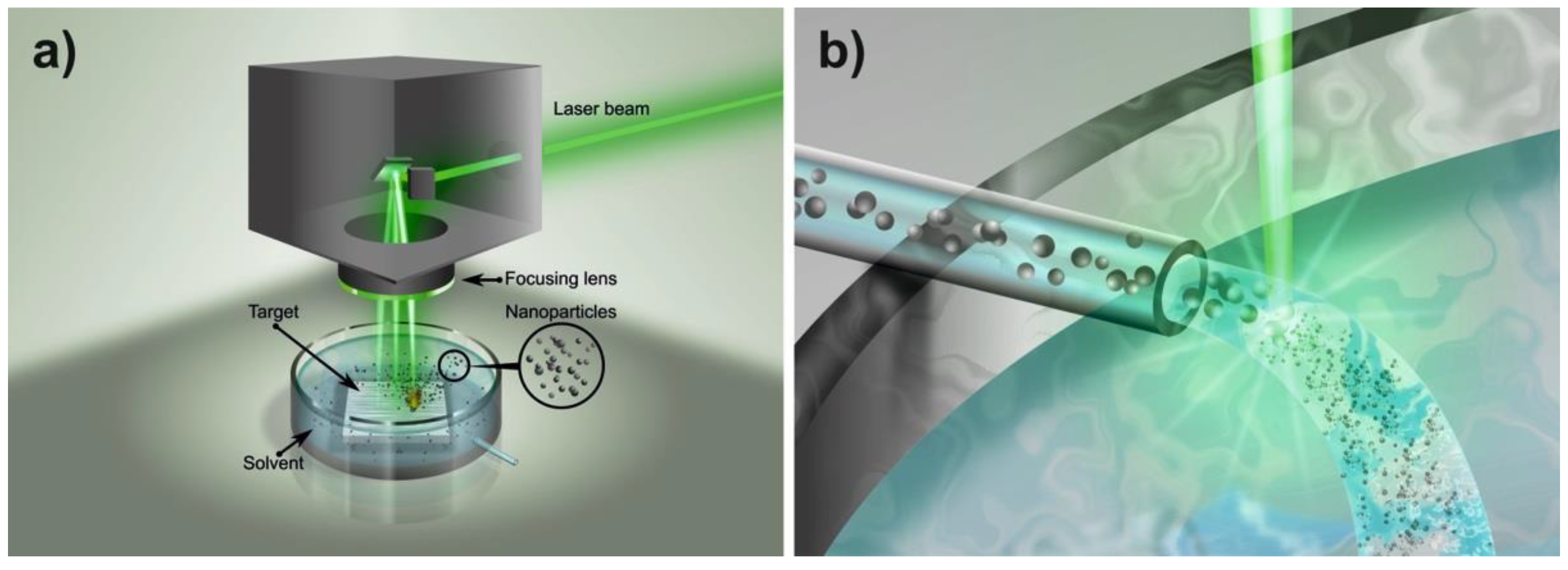 Ijms 23 12027 g014 Ijms 23 12027 g014