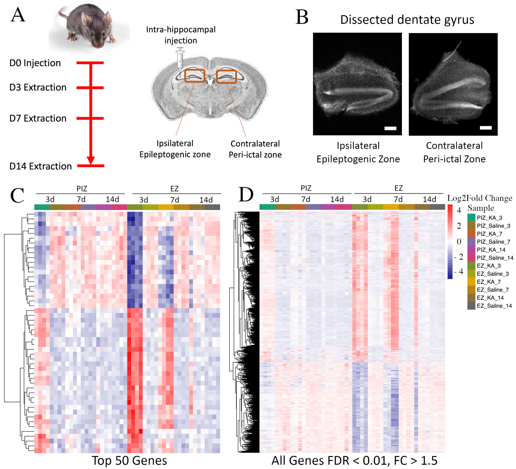 Ijms 23 12030 g001 Ijms 23 12030 g001