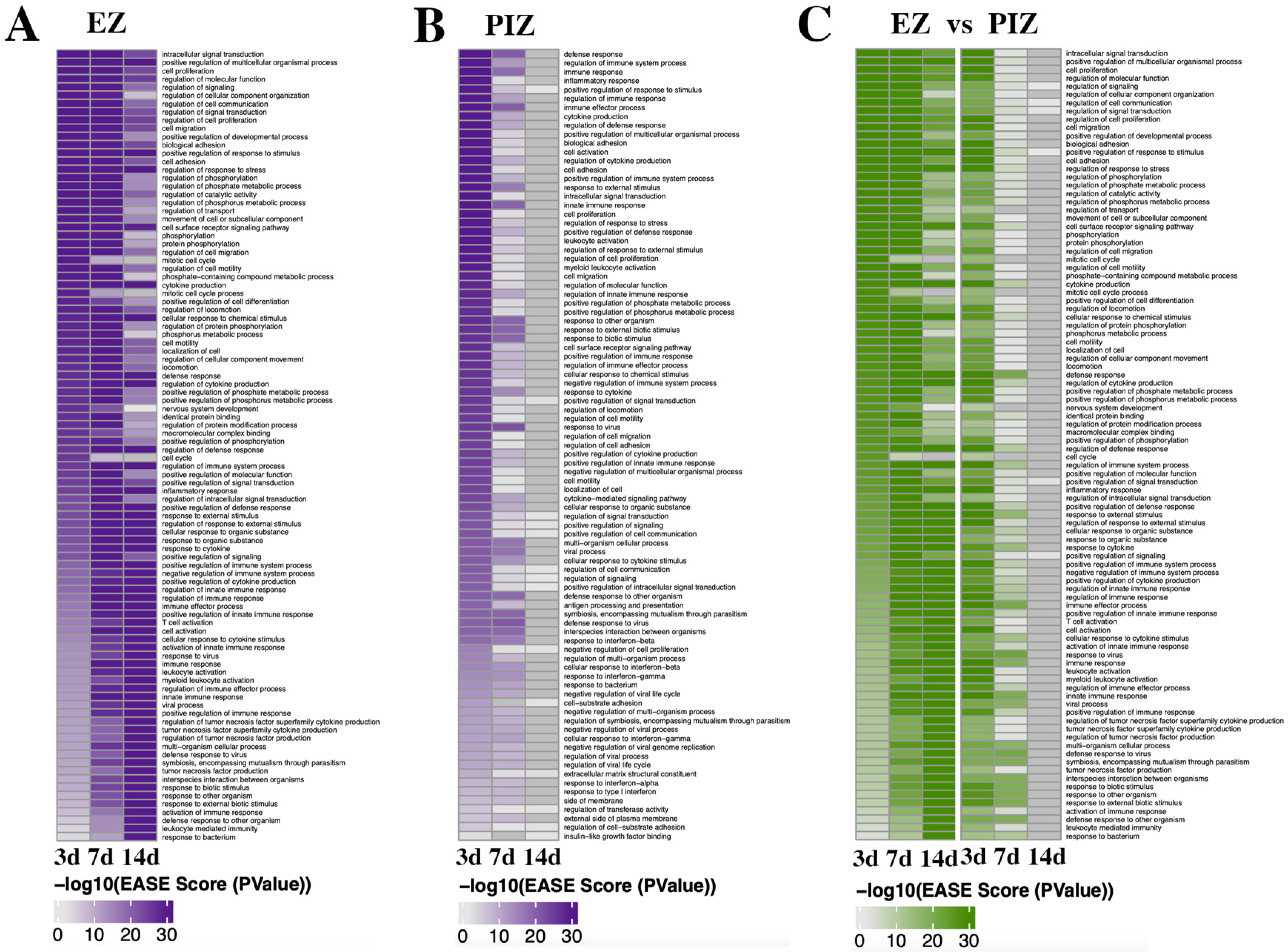 Ijms 23 12030 g003 Ijms 23 12030 g003