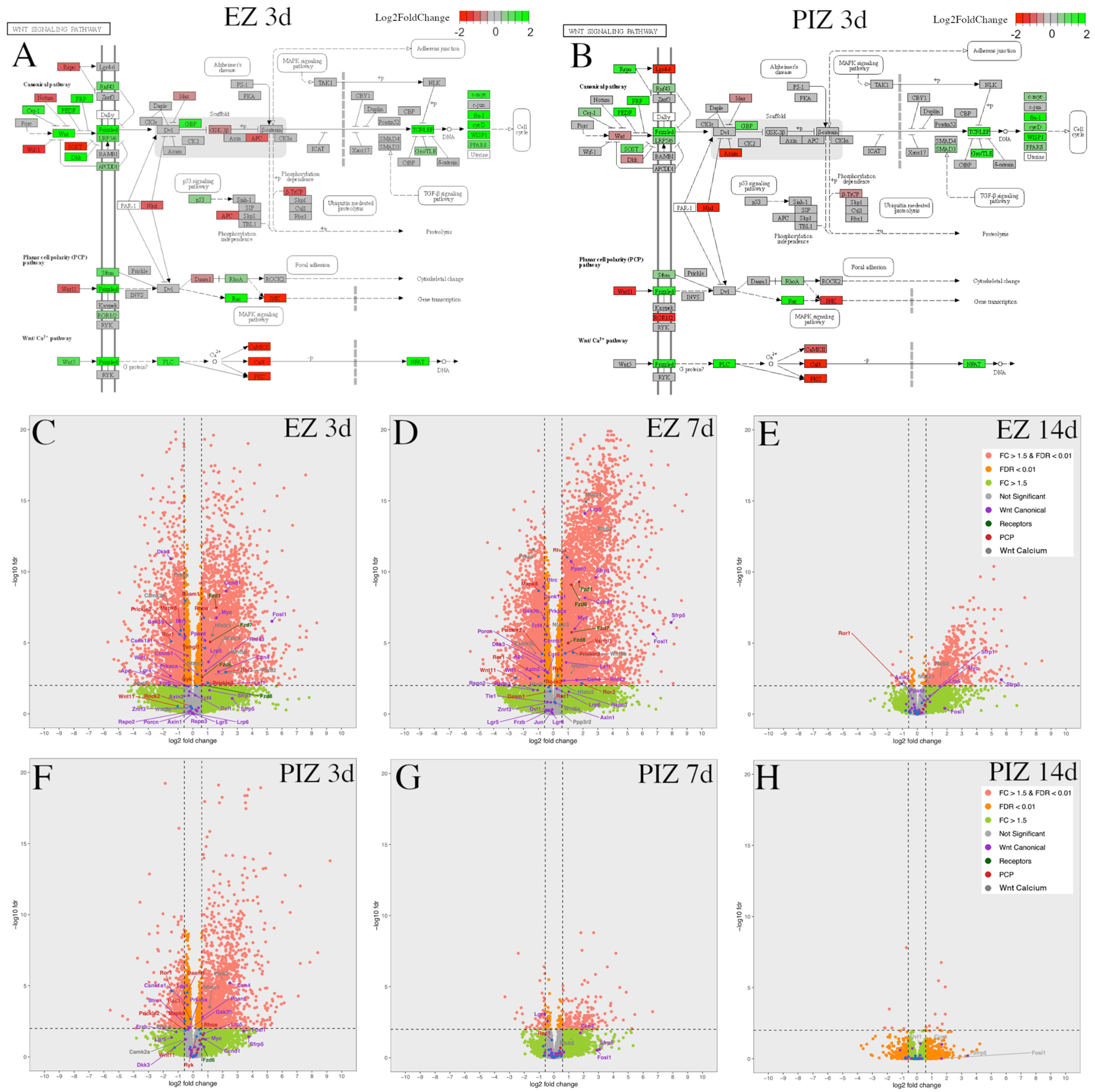 Ijms 23 12030 g004 Ijms 23 12030 g004