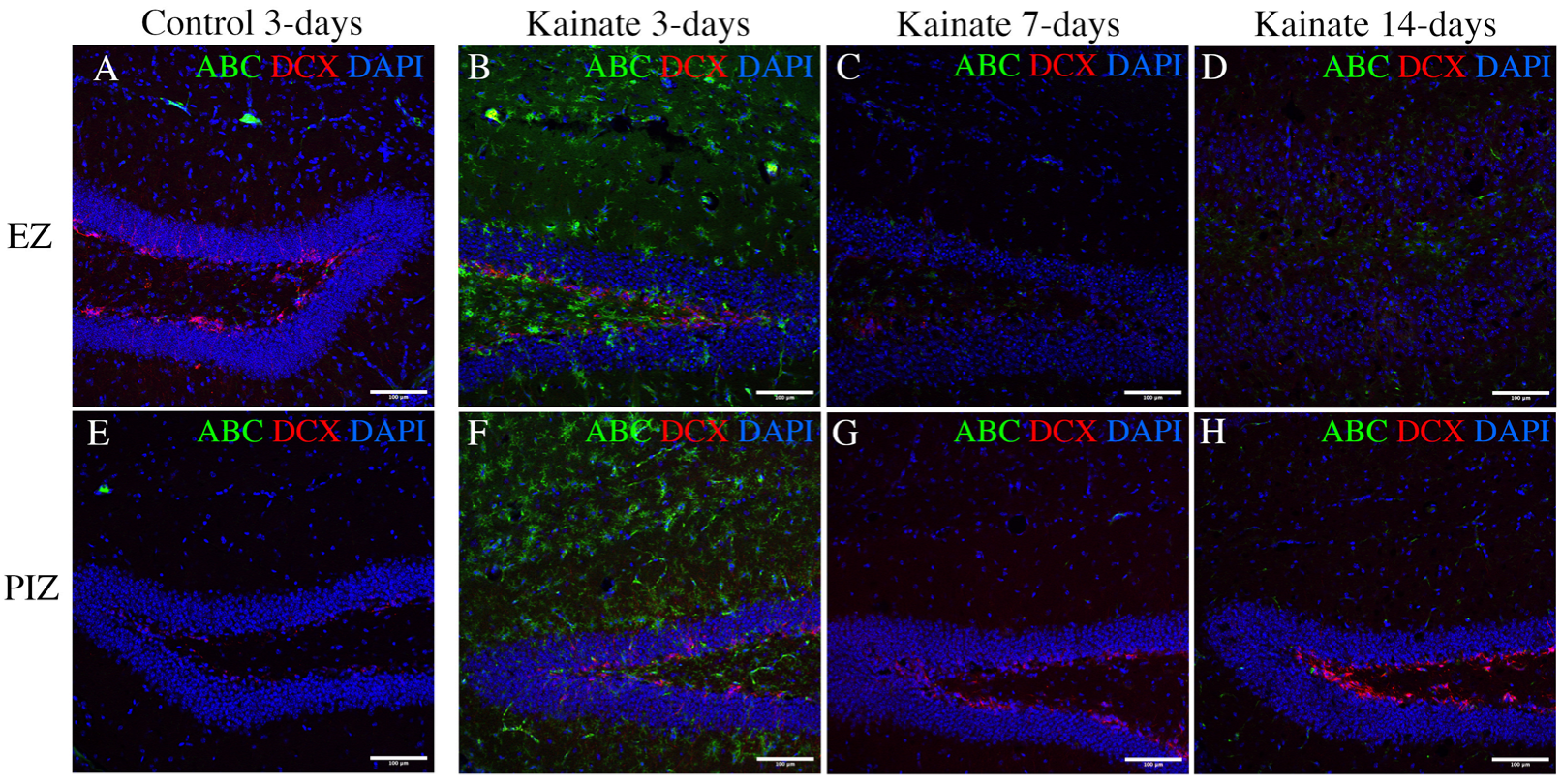 Ijms 23 12030 g005 Ijms 23 12030 g005