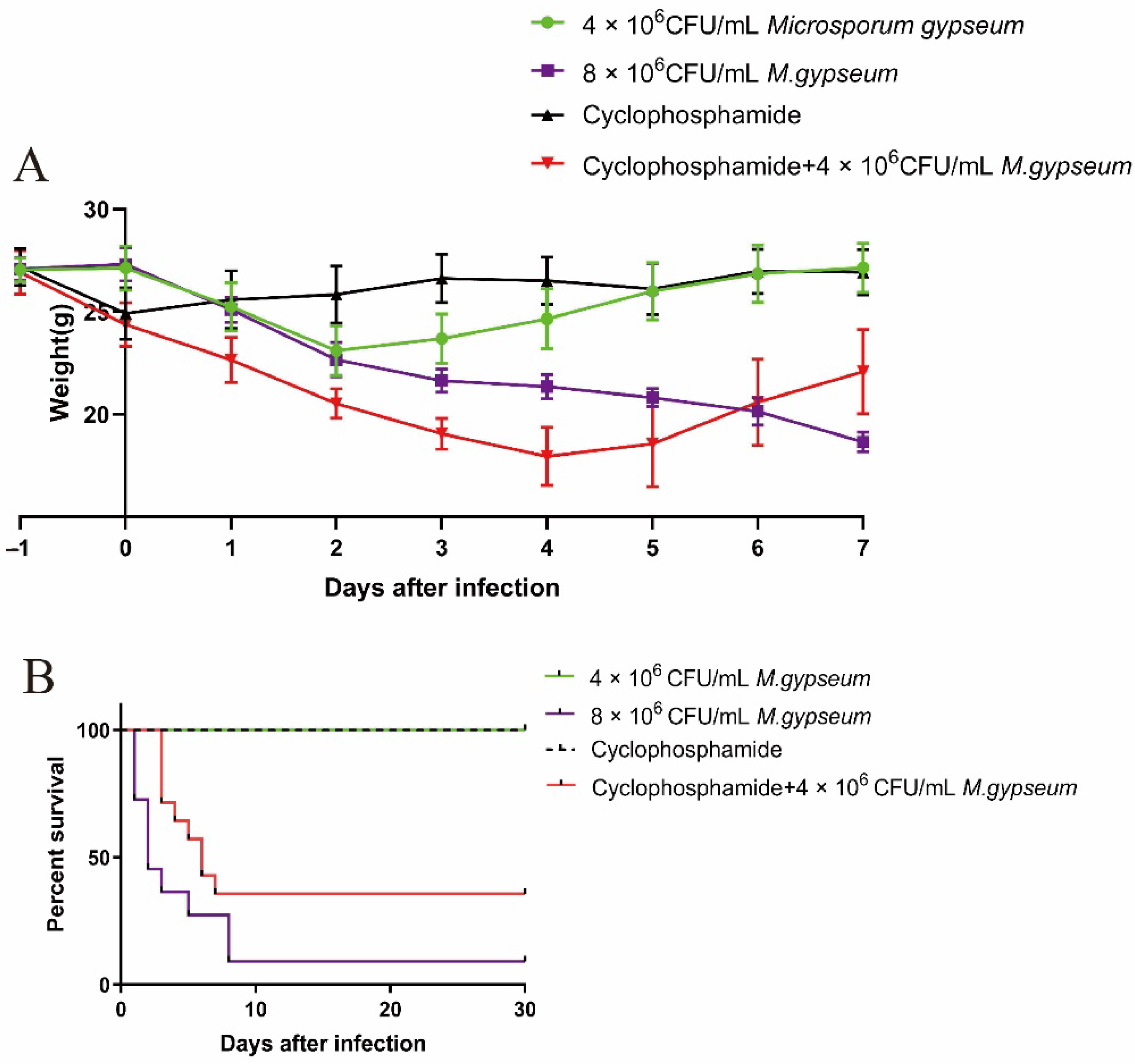 Ijms 23 12037 g001 Ijms 23 12037 g001