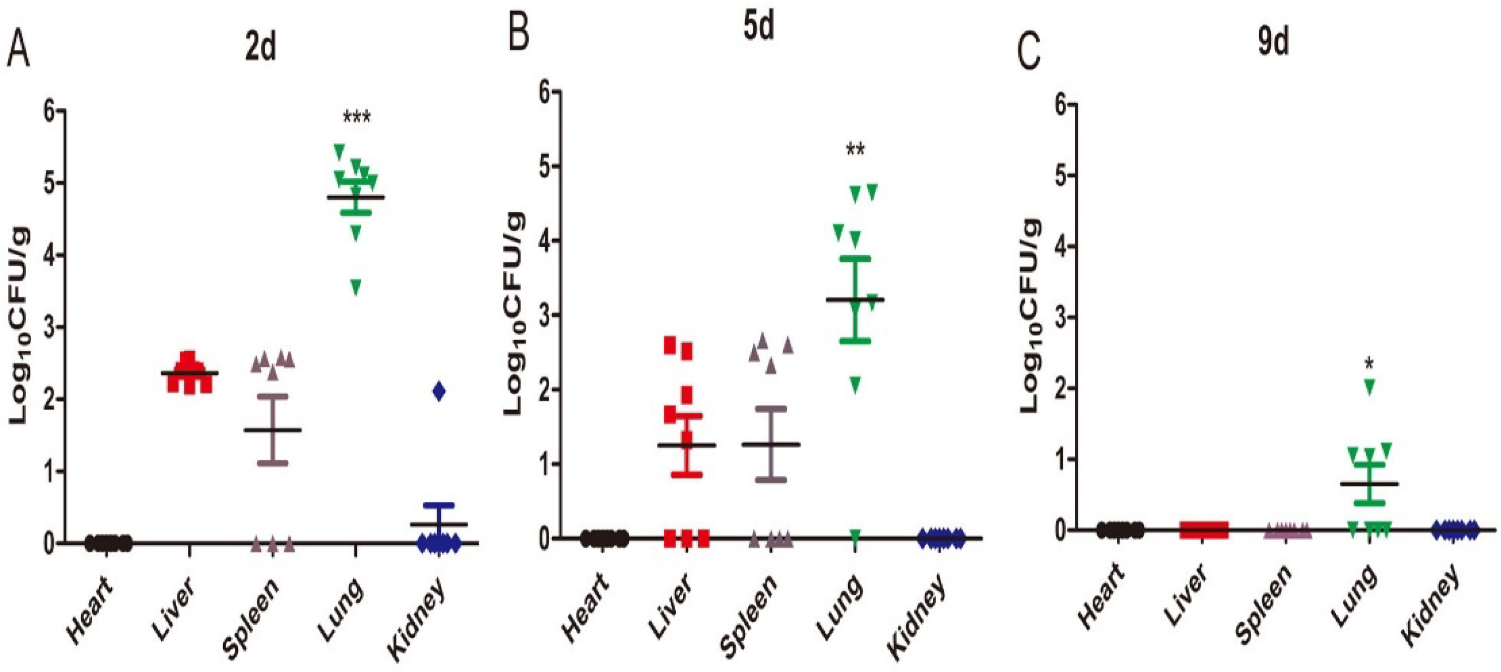 Ijms 23 12037 g002 Ijms 23 12037 g002