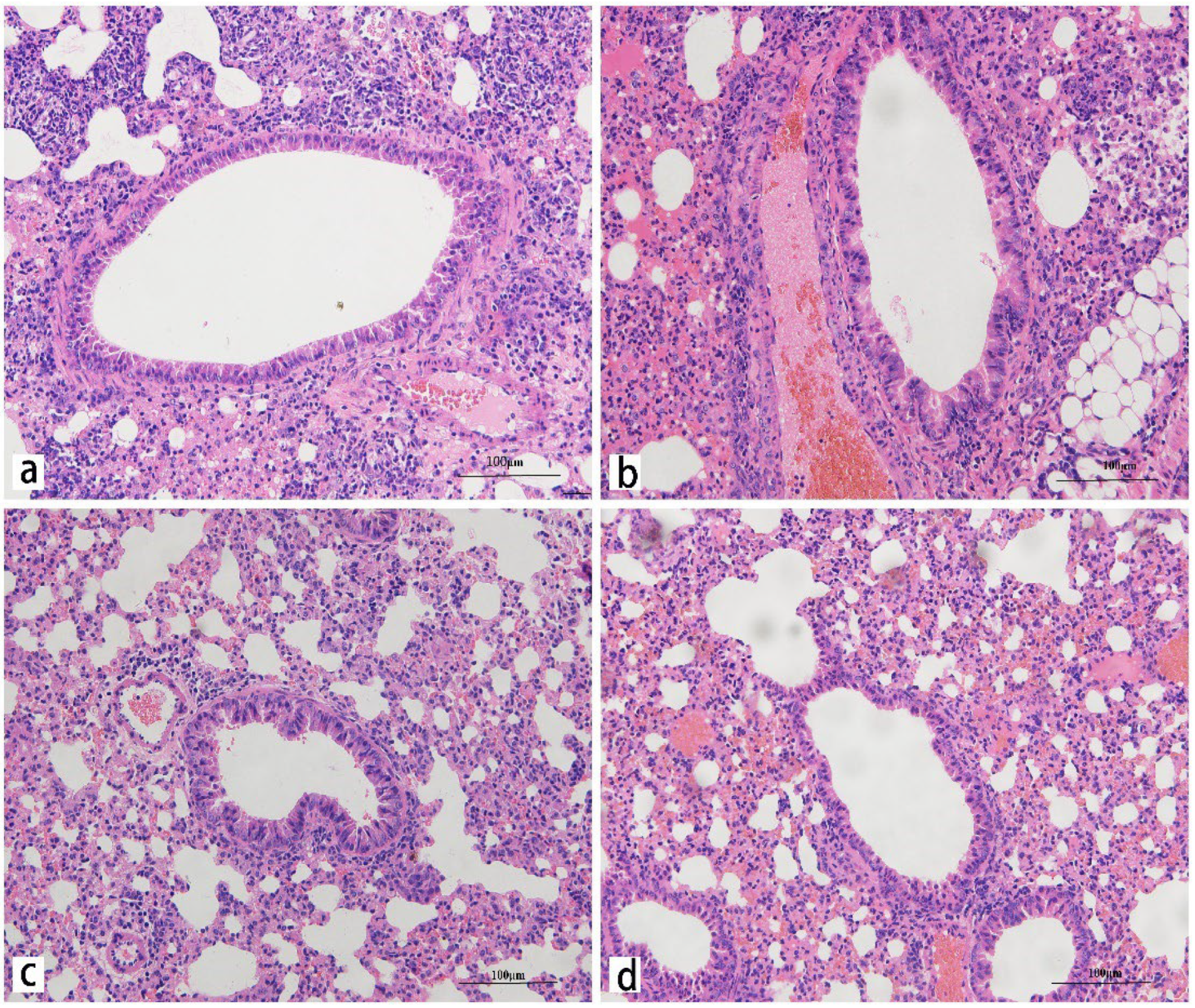 Ijms 23 12037 g005 Ijms 23 12037 g005