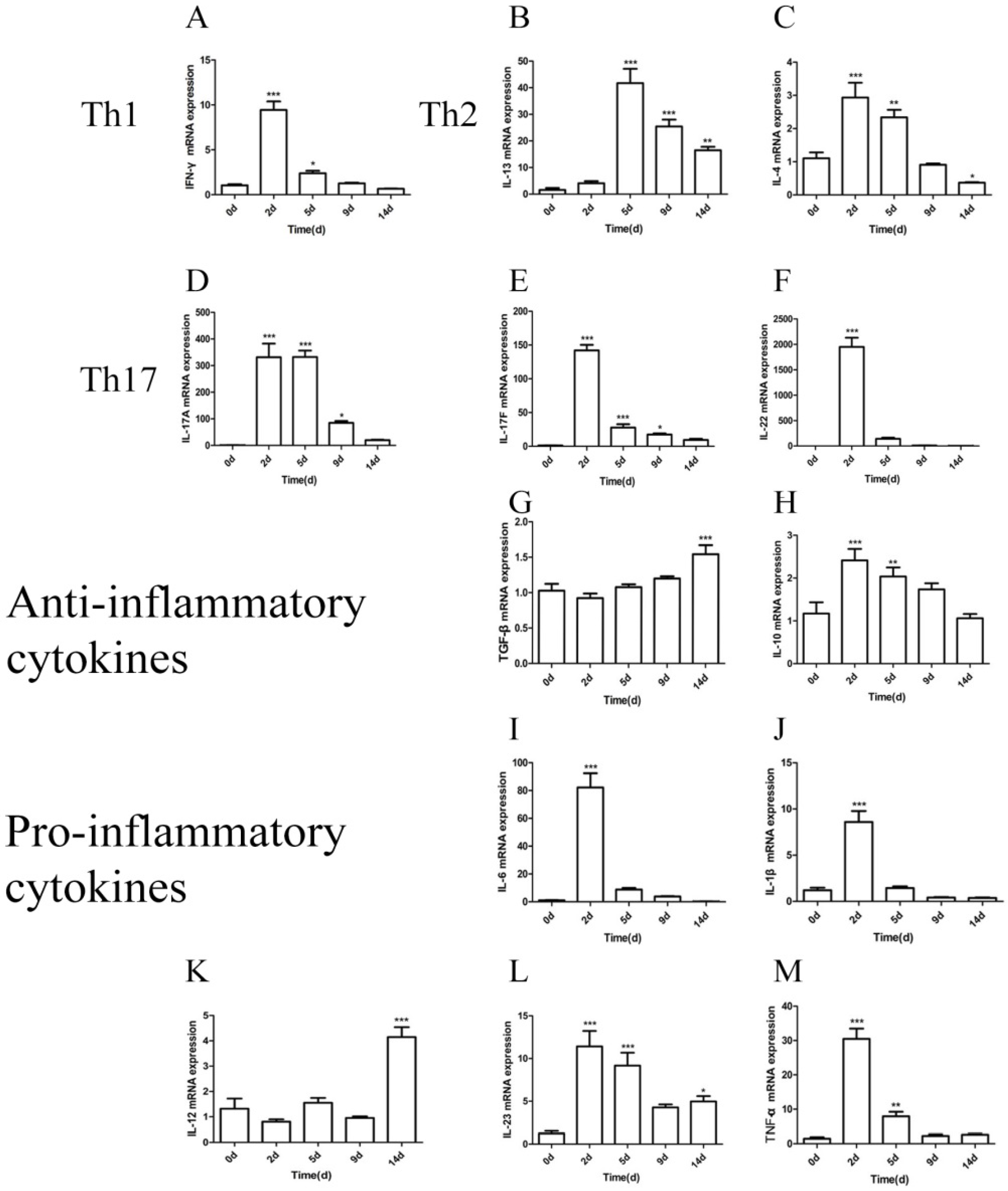 Ijms 23 12037 g007 Ijms 23 12037 g007