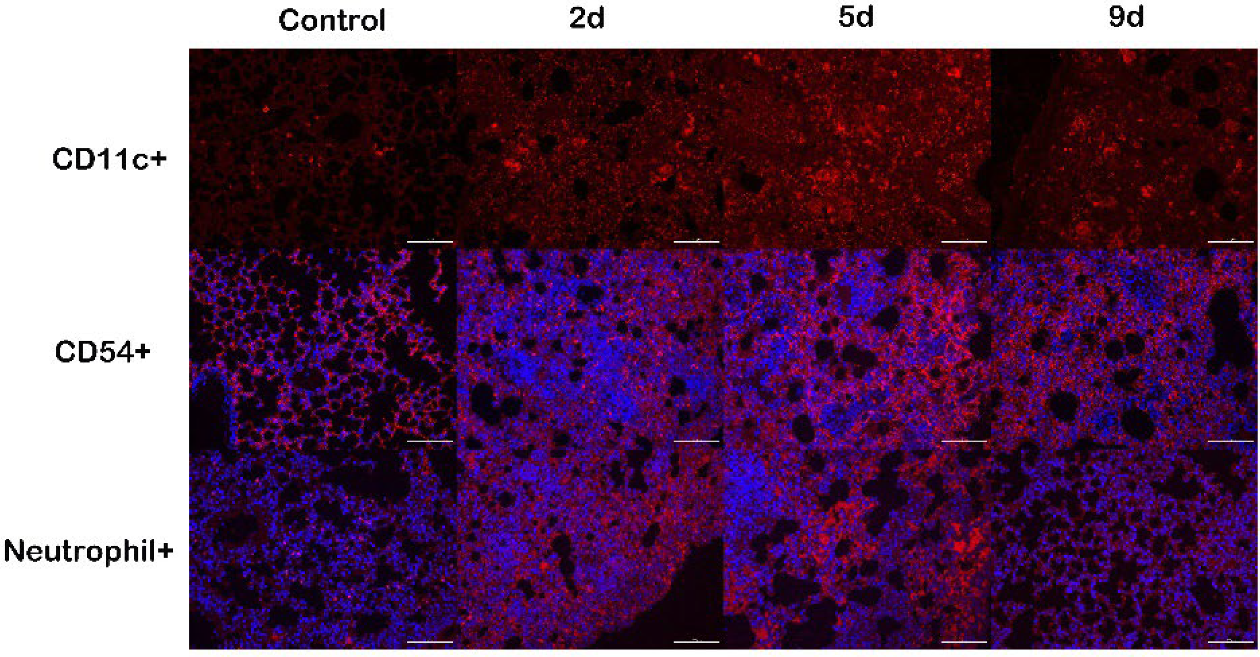 Ijms 23 12037 g008 Ijms 23 12037 g008