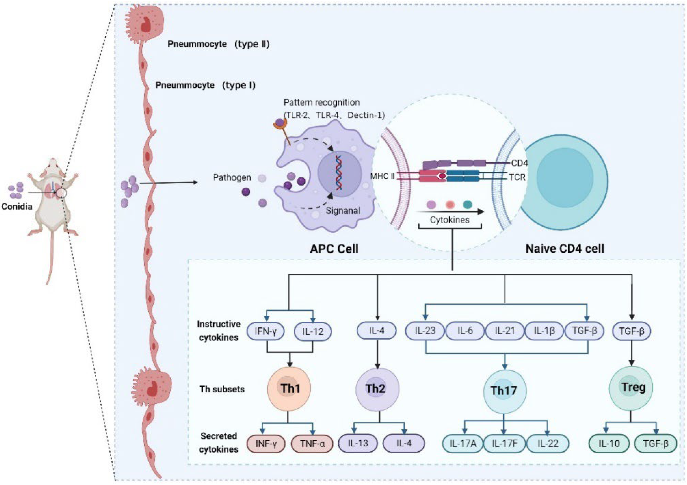Ijms 23 12037 g010 Ijms 23 12037 g010