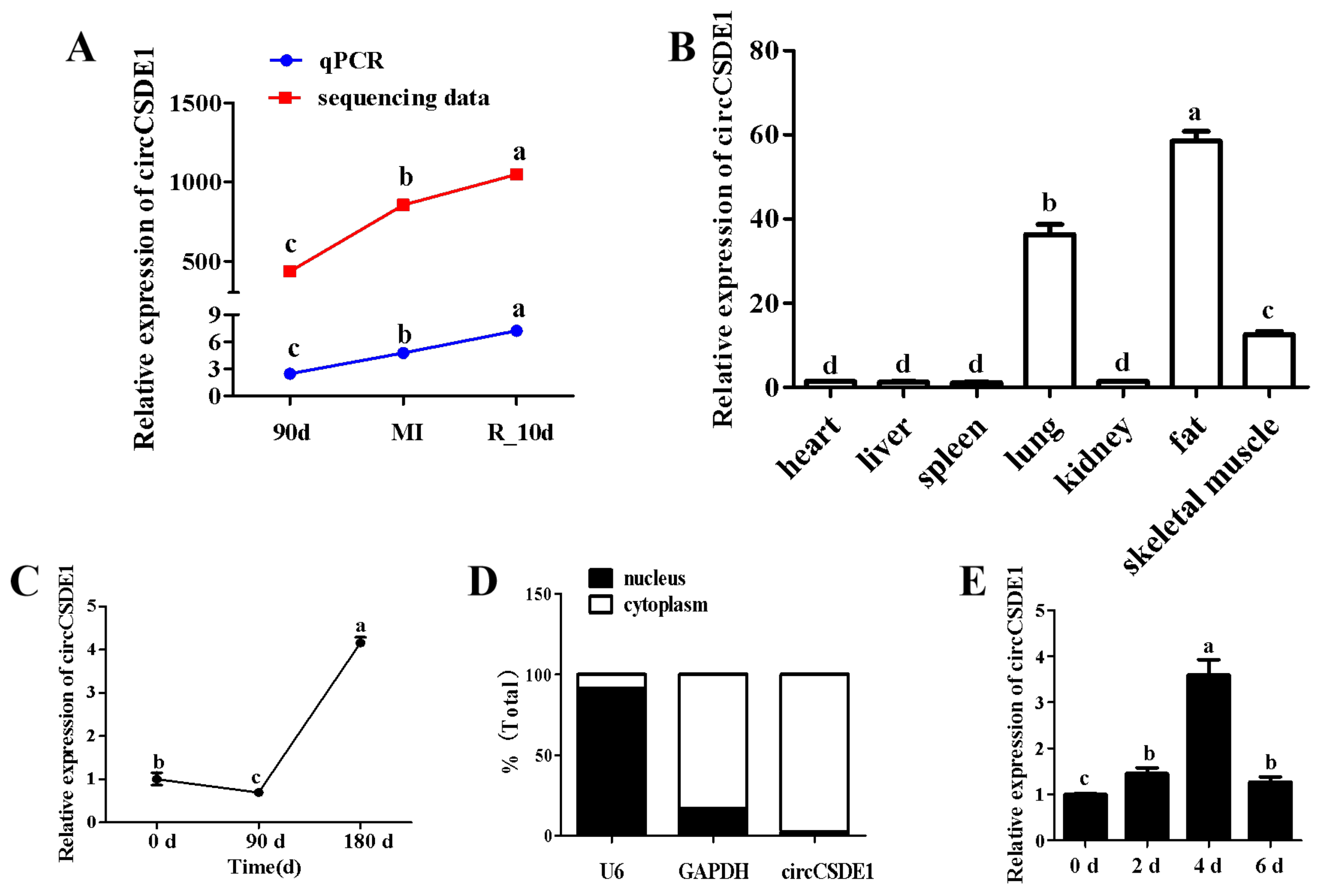 Ijms 23 12038 g004 Ijms 23 12038 g004