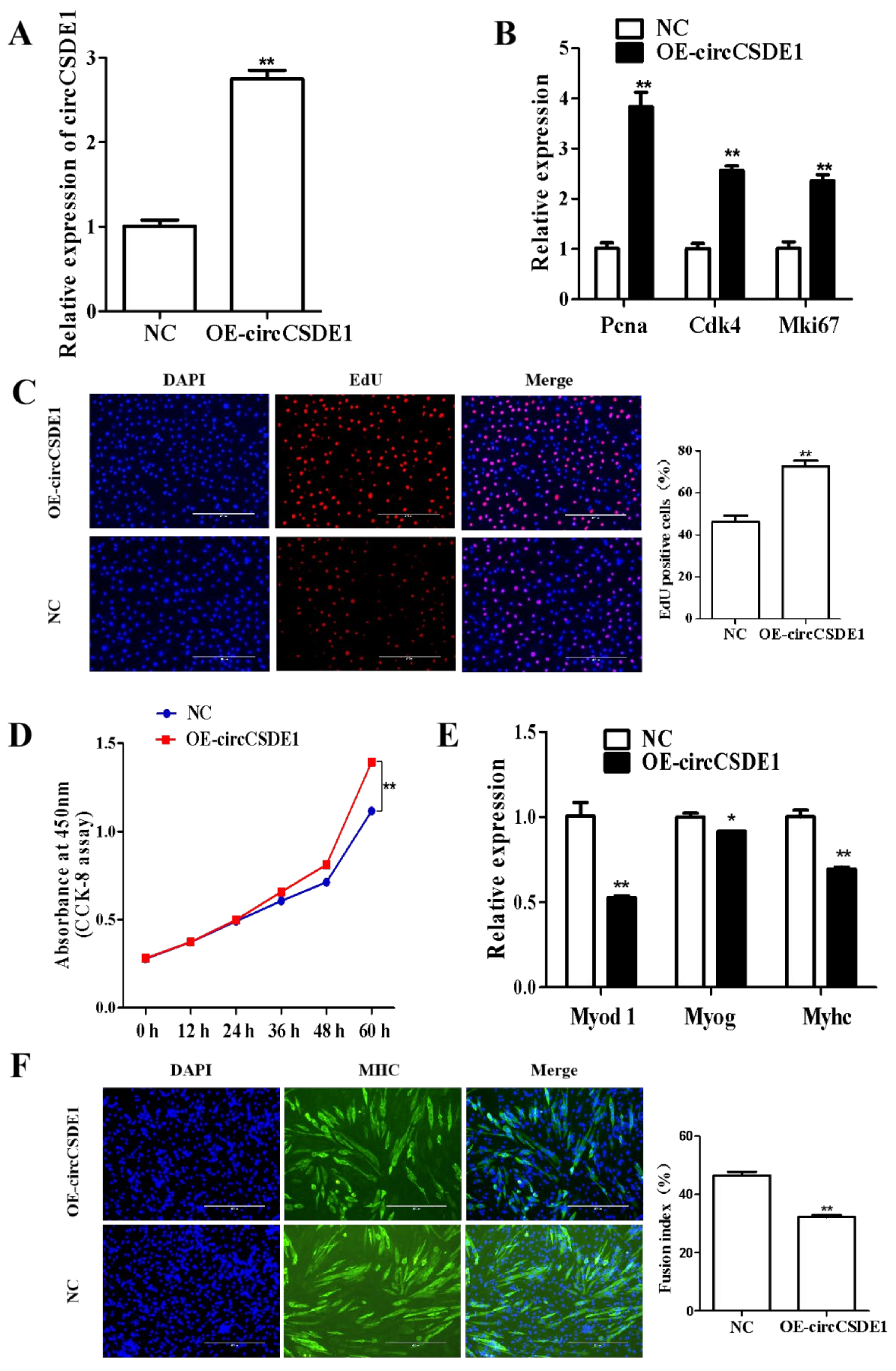 Ijms 23 12038 g005 Ijms 23 12038 g005