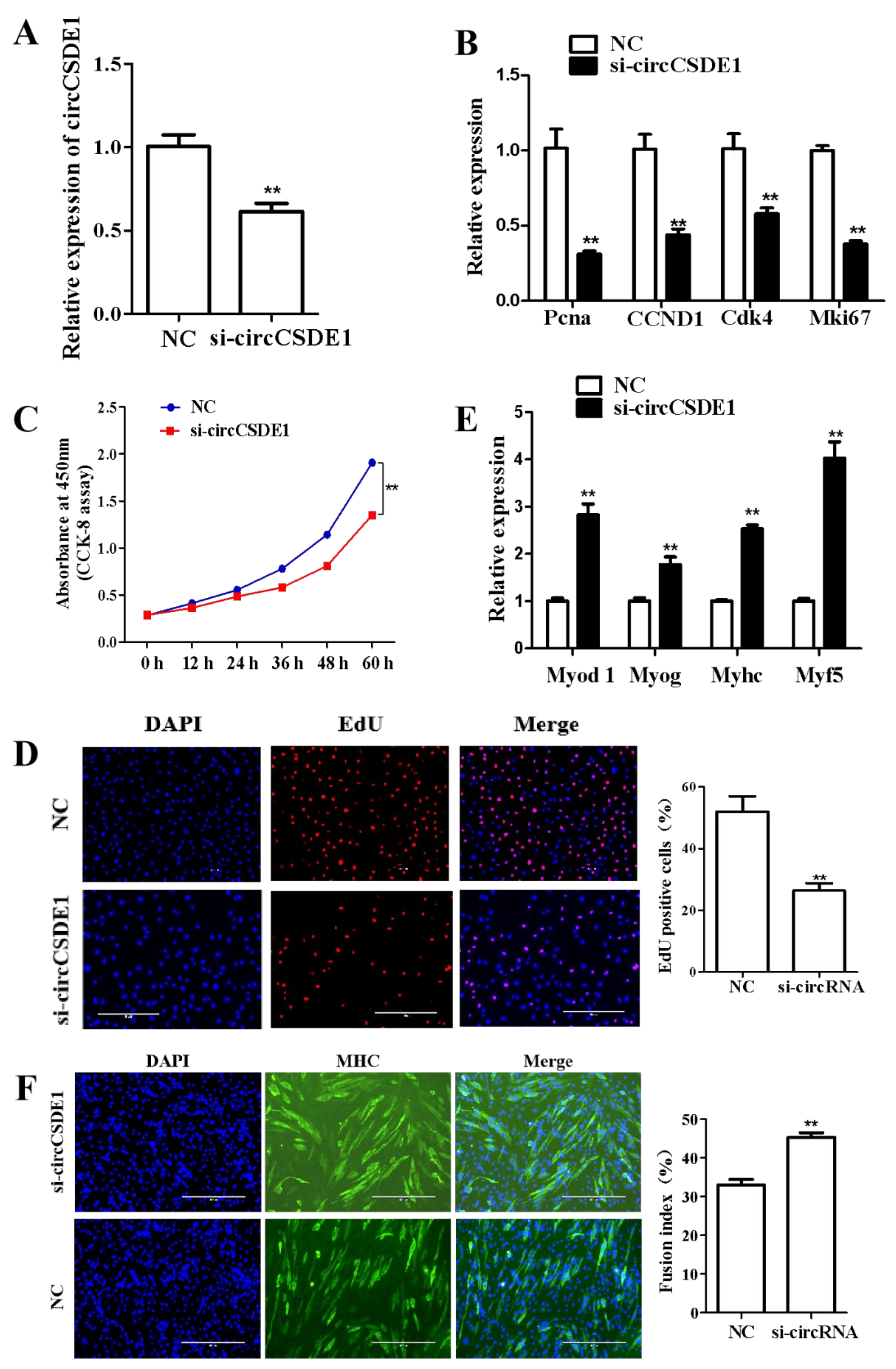 Ijms 23 12038 g006 Ijms 23 12038 g006
