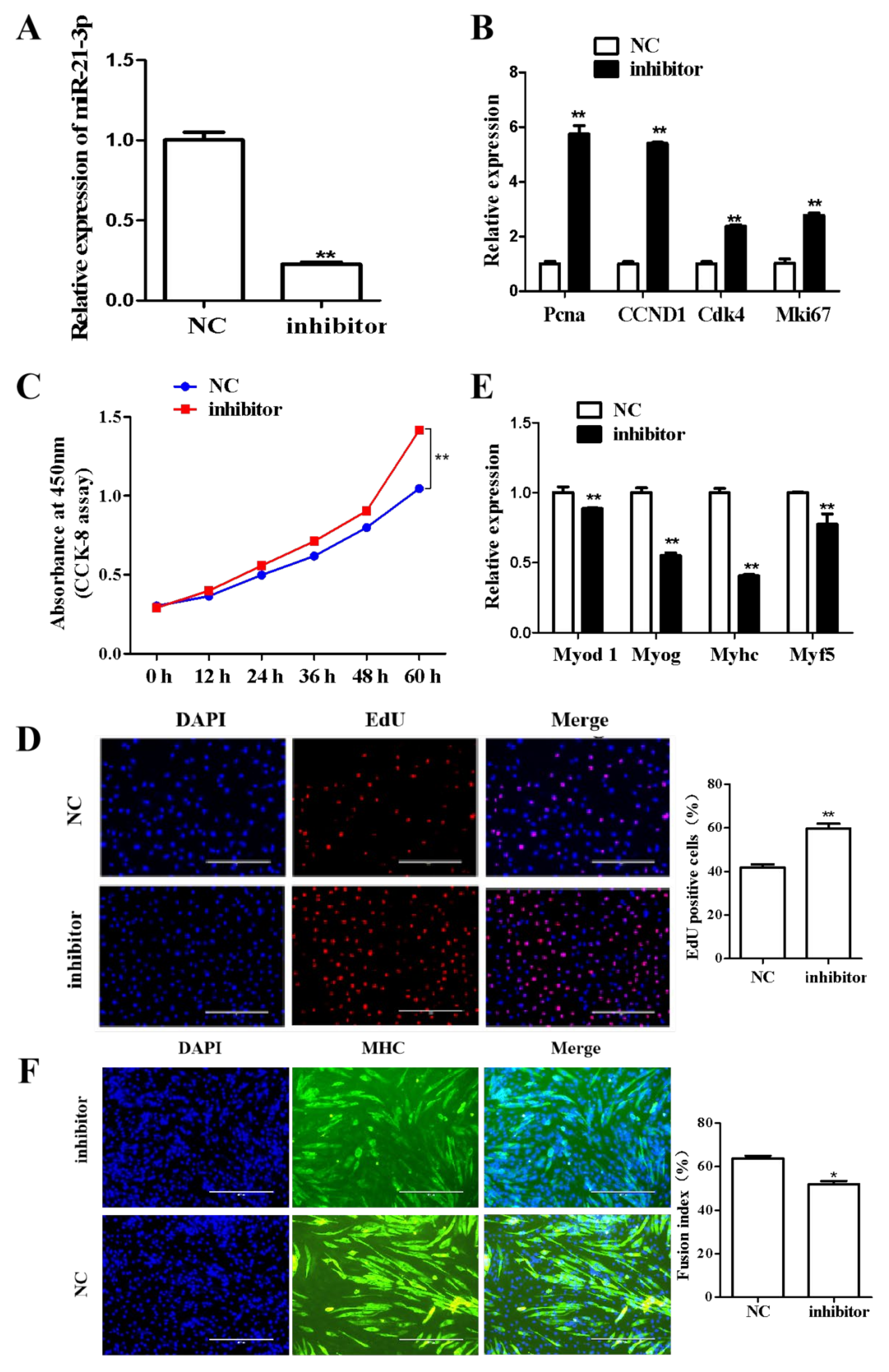 Ijms 23 12038 g009 Ijms 23 12038 g009