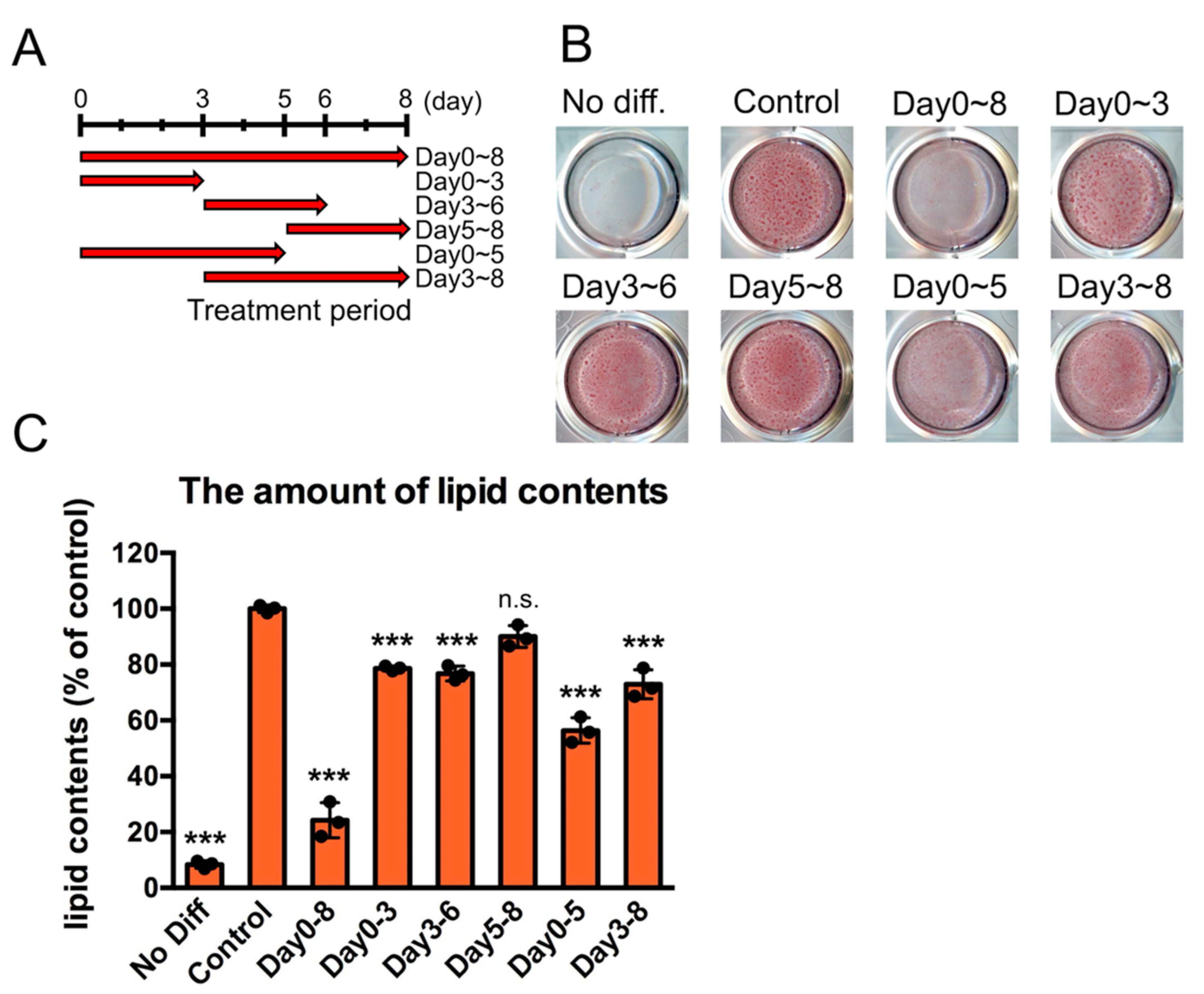 Ijms 23 12046 g001 Ijms 23 12046 g001