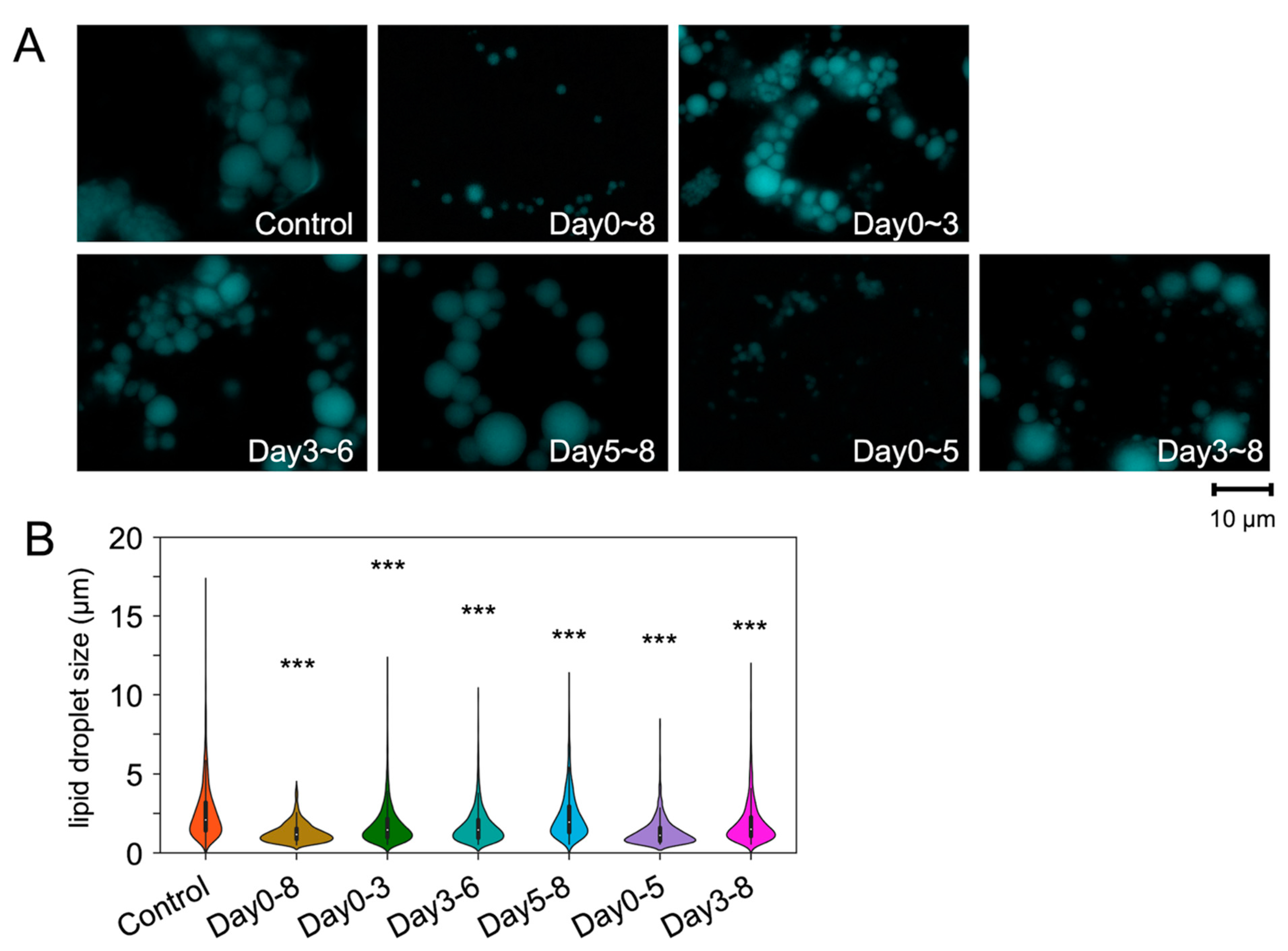 Ijms 23 12046 g002 Ijms 23 12046 g002