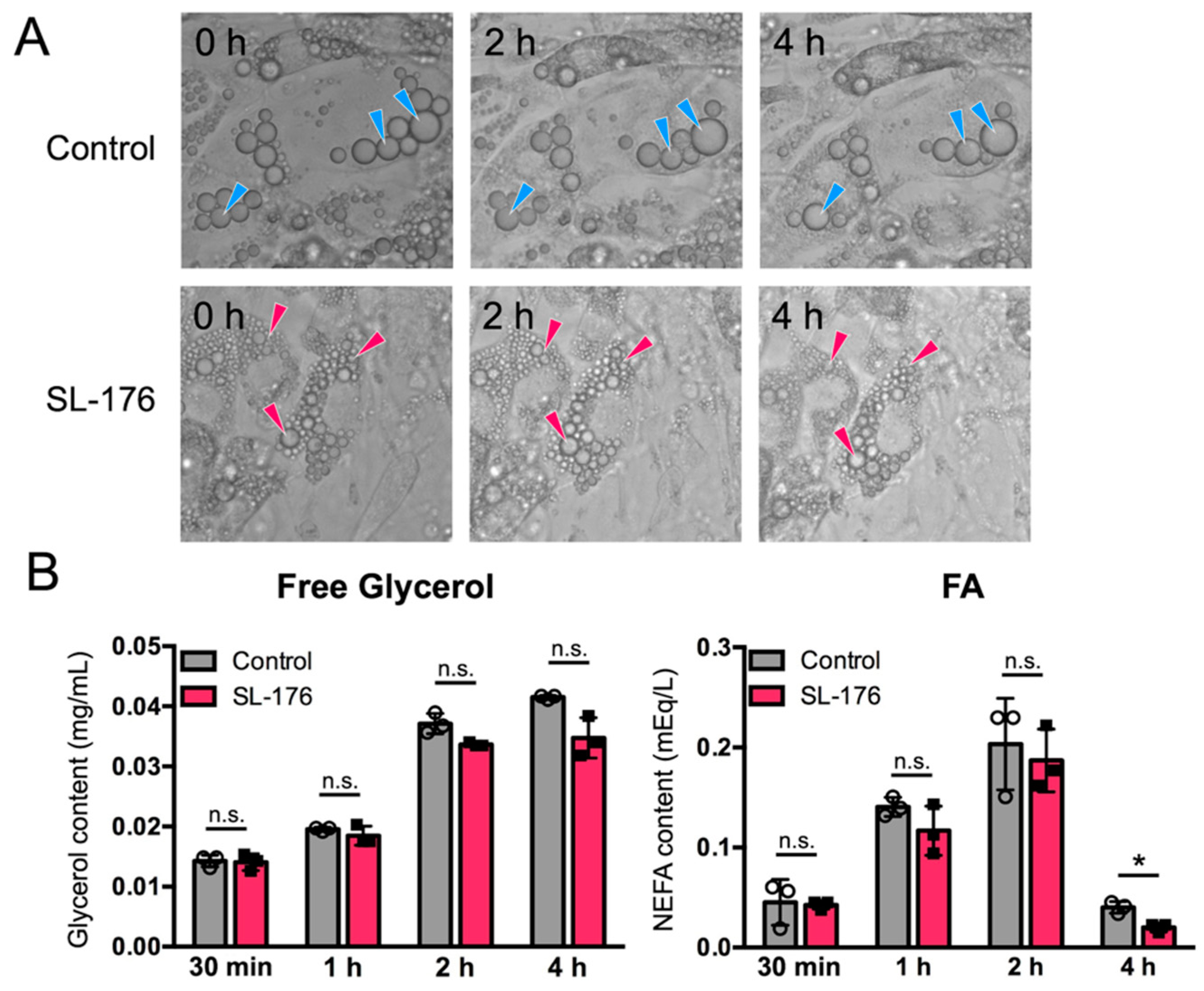 Ijms 23 12046 g005 Ijms 23 12046 g005